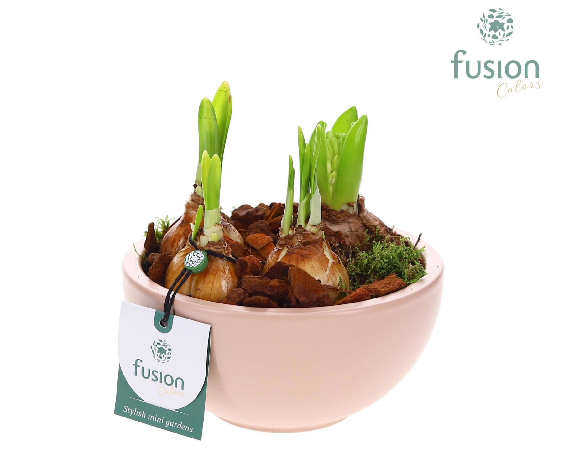 Schaal keramiek Moon Small blush pink met Bollen, D 15