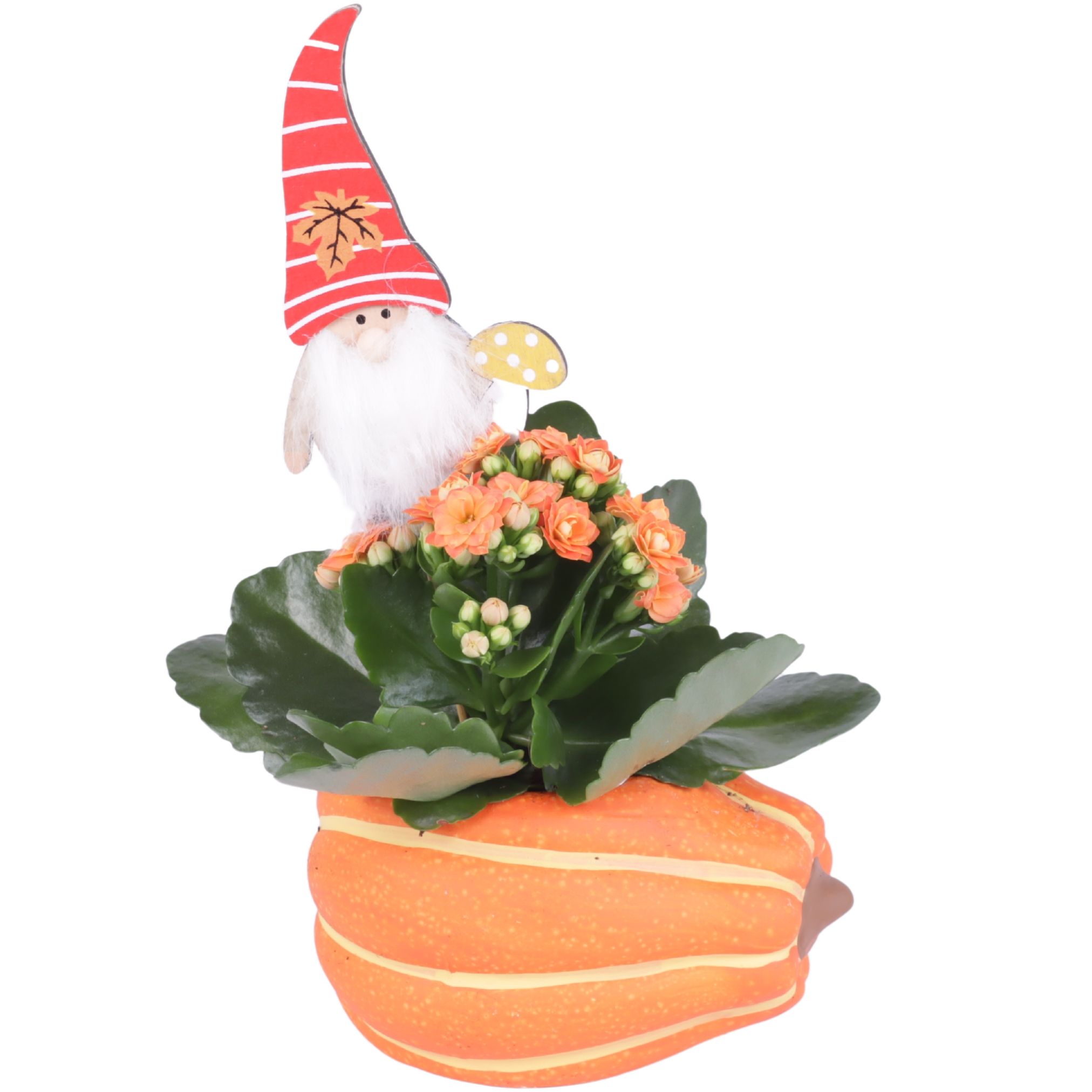 Autumn Arr. Indoor Ceramic Pumpkin Pot Ø12cm 1PP, D 12 cm Autumn Arr. Indoor Ceramic Pumpkin Pot Ø12cm 1PP, D 12 cm