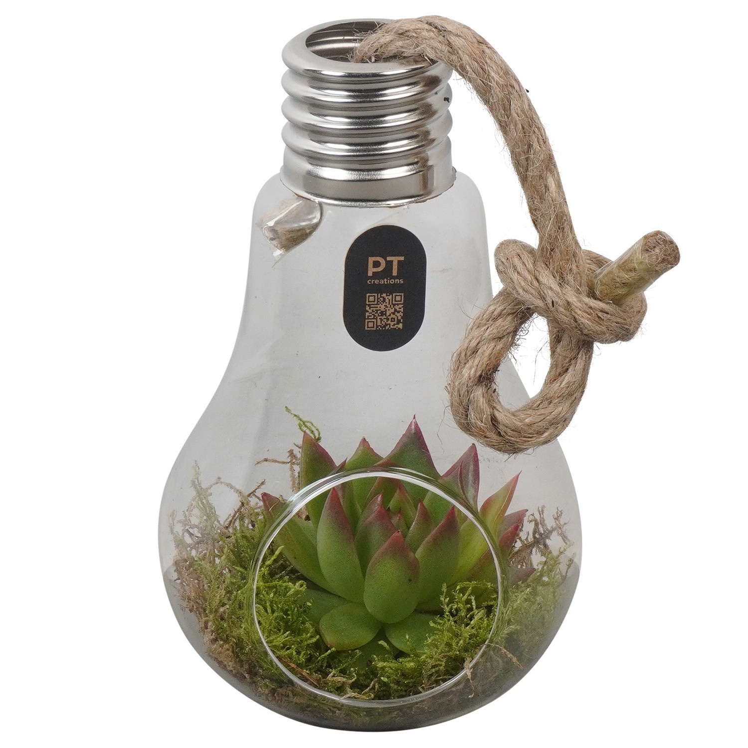 PTIG2708 Arrangement Indoor in glazen vaasje, D 10