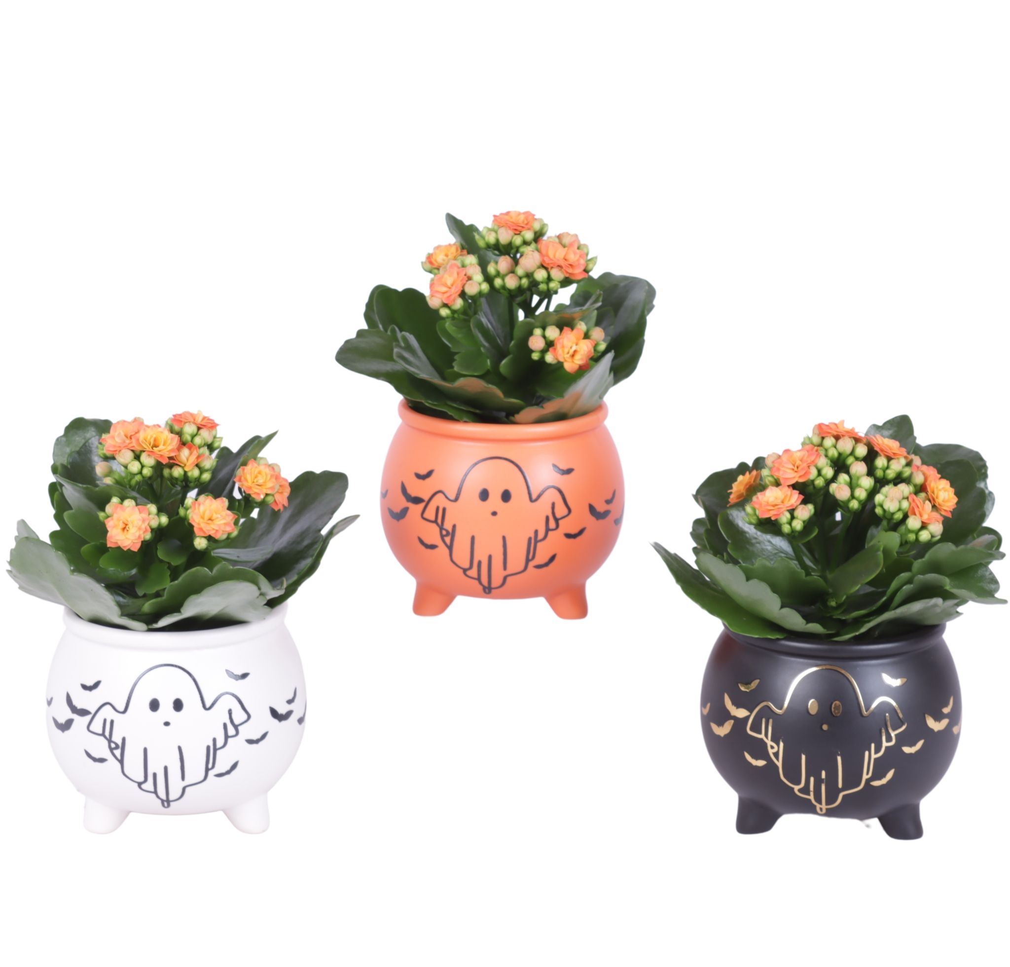 Halloween Arr. Indoor Ceramic Pot Witches Cauldron Ø09cm 1PP, D 9 cm Halloween Arr. Indoor Ceramic Pot Witches Cauldron Ø09cm 1PP, D 9 cm