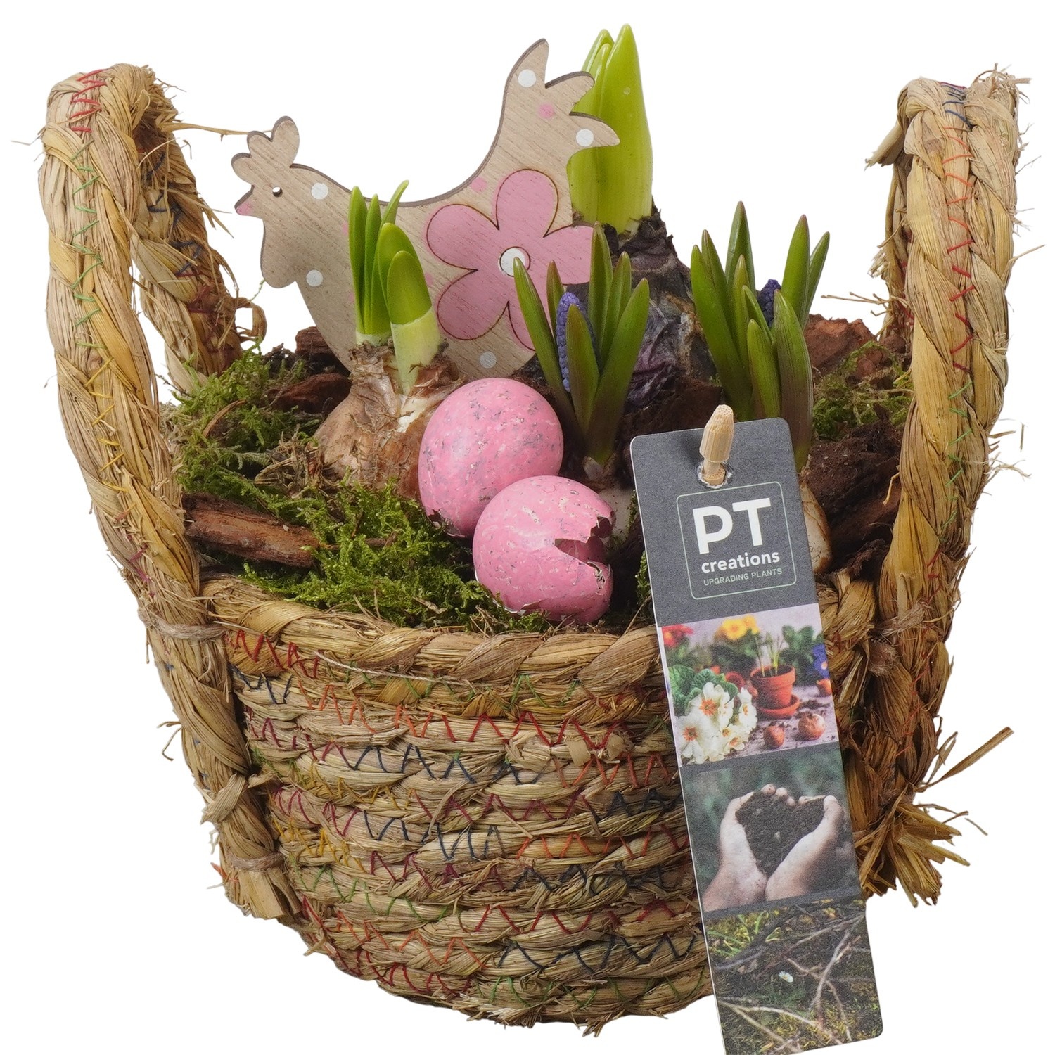 PTBMP5681 Arrangement Easter Bulbs Mix in rieten mand, D 15