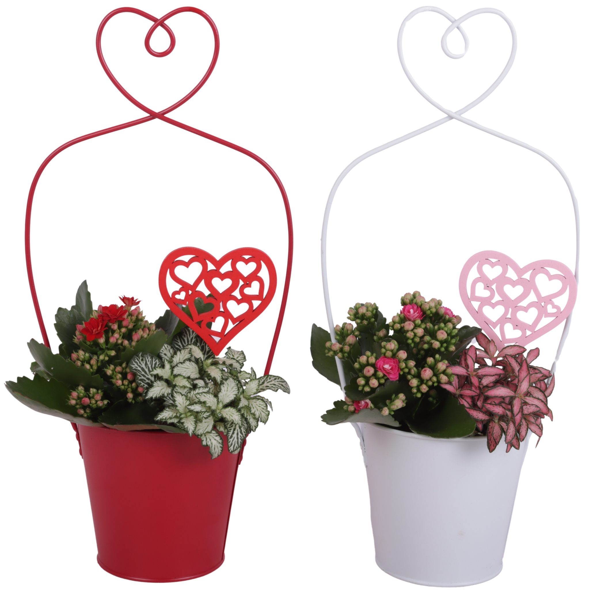 Valentine Arr. Indoor Metal Framepot + Heart Ø17cm 2PP, D 17