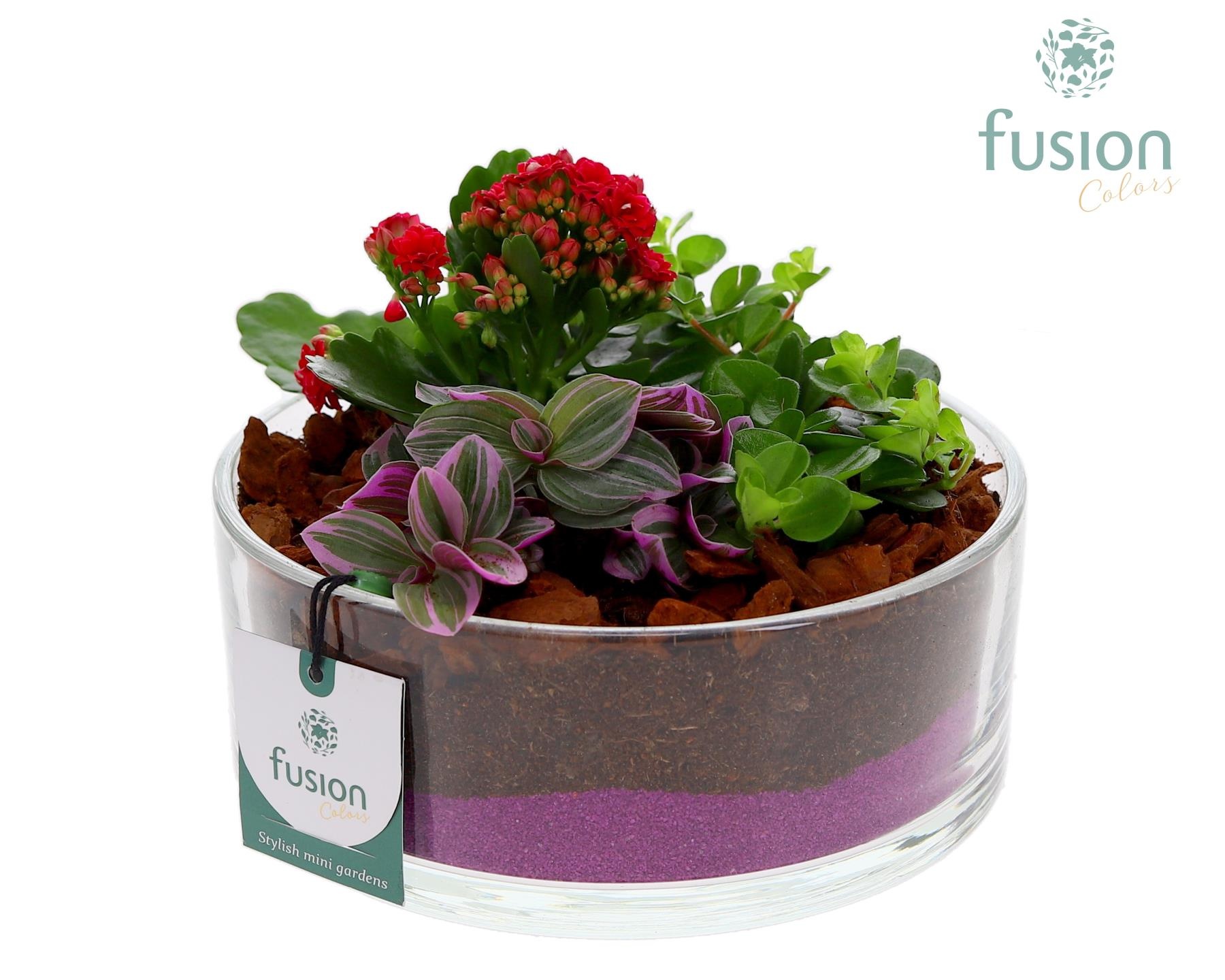 Glazen cilinderschaal met Arrangement, D 19