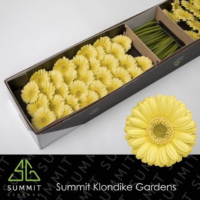 Гермини Лемон Айс x60, шт.