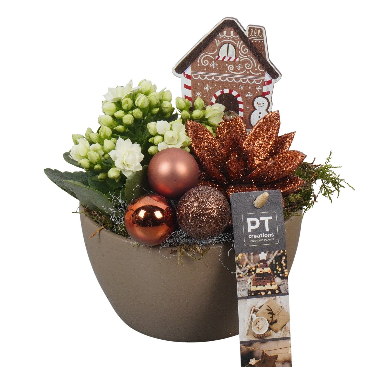 PTCHB9723 Arrangement Christmas Bronze in keramiek schaal, D 14 cm