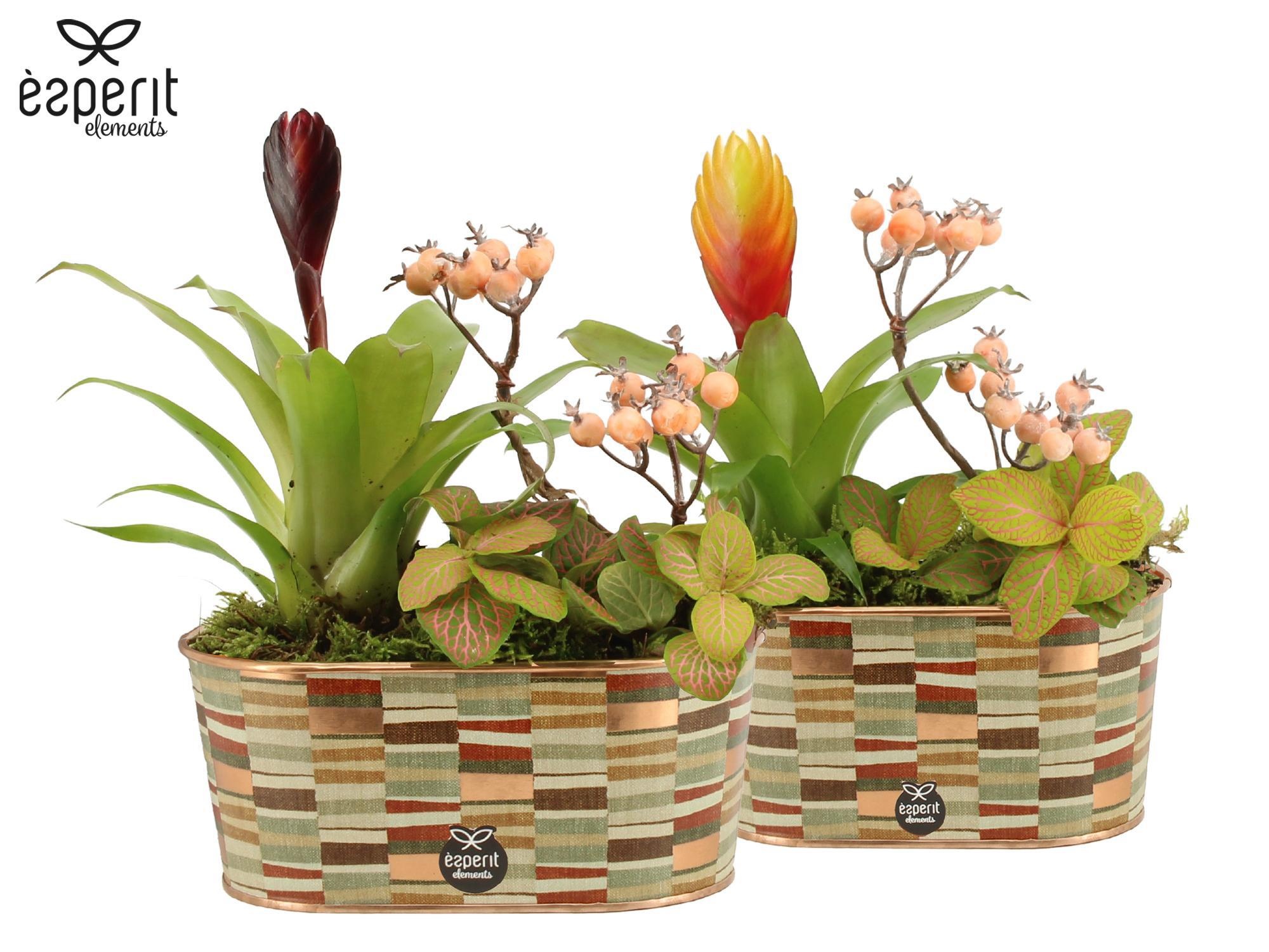 41796: Recreate arrangement, D 17