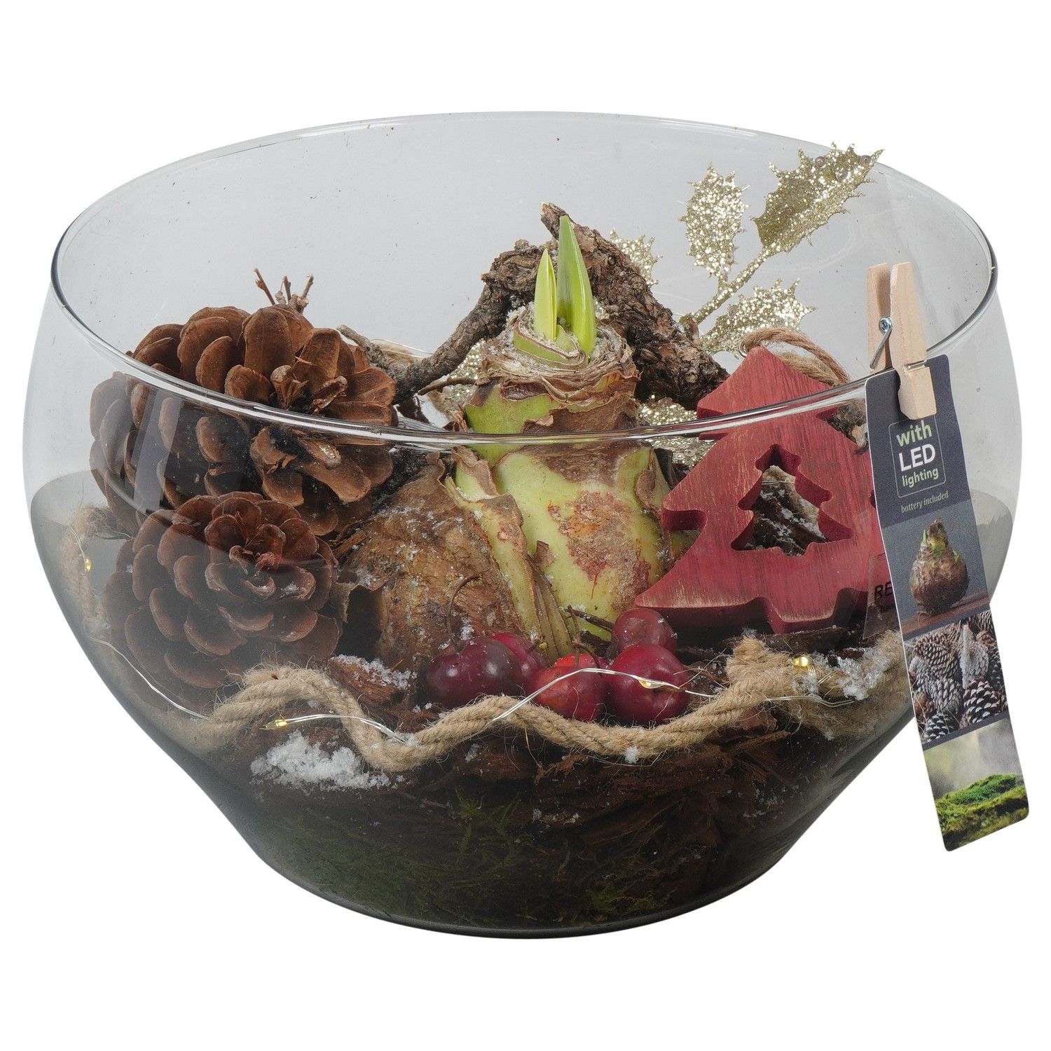 PTACH5949 Arrangement Amaryllis Christmas in glas schaal, D 23 cm