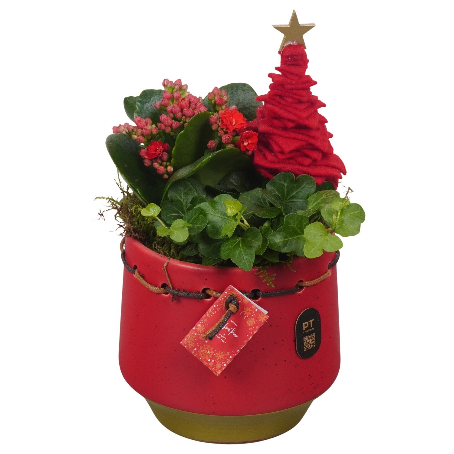 PTCHR9546 Arrangement Christmas Red in keramiek pot, D 13