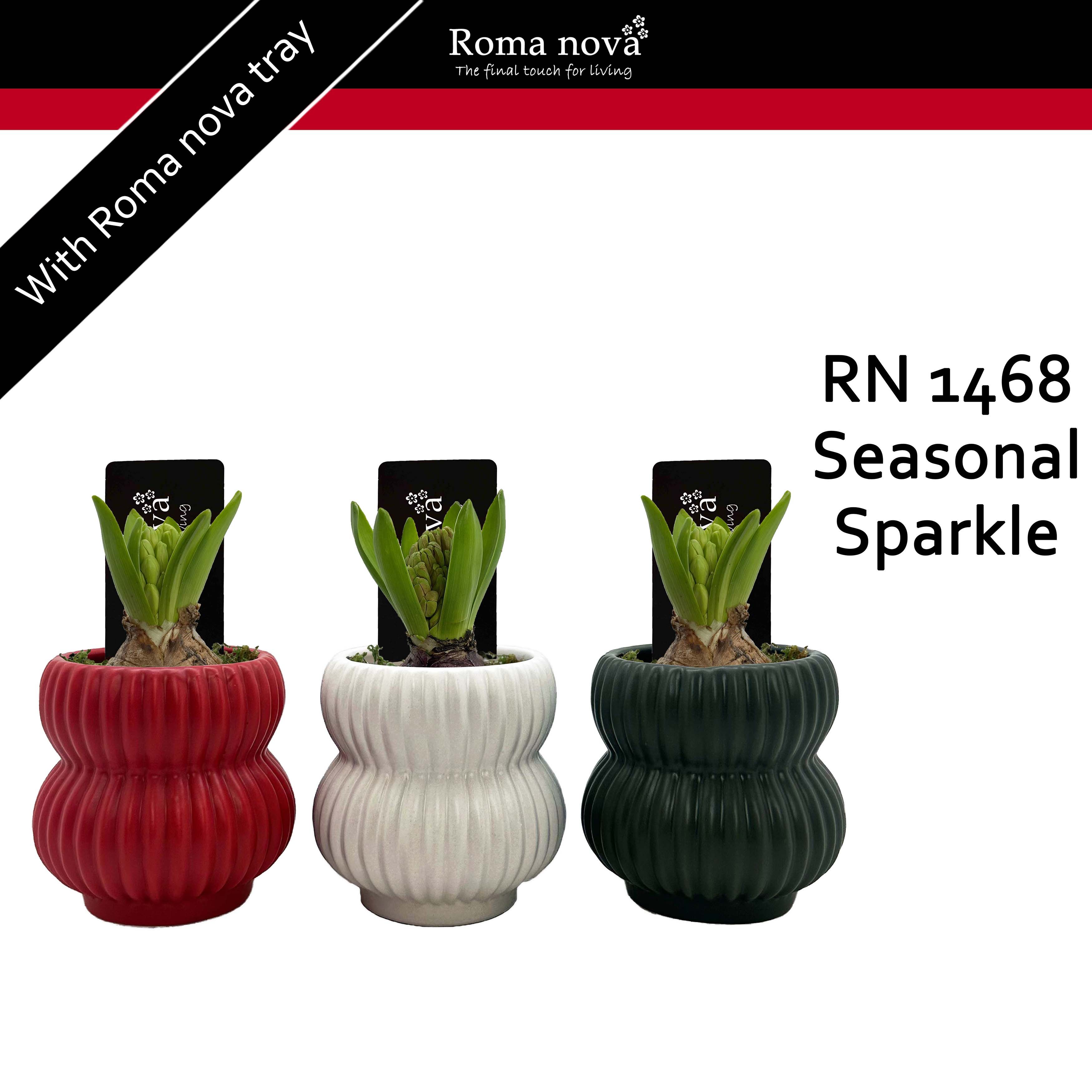 1468 - Seasonal Sparkle (Hyacint 6cm), D 8