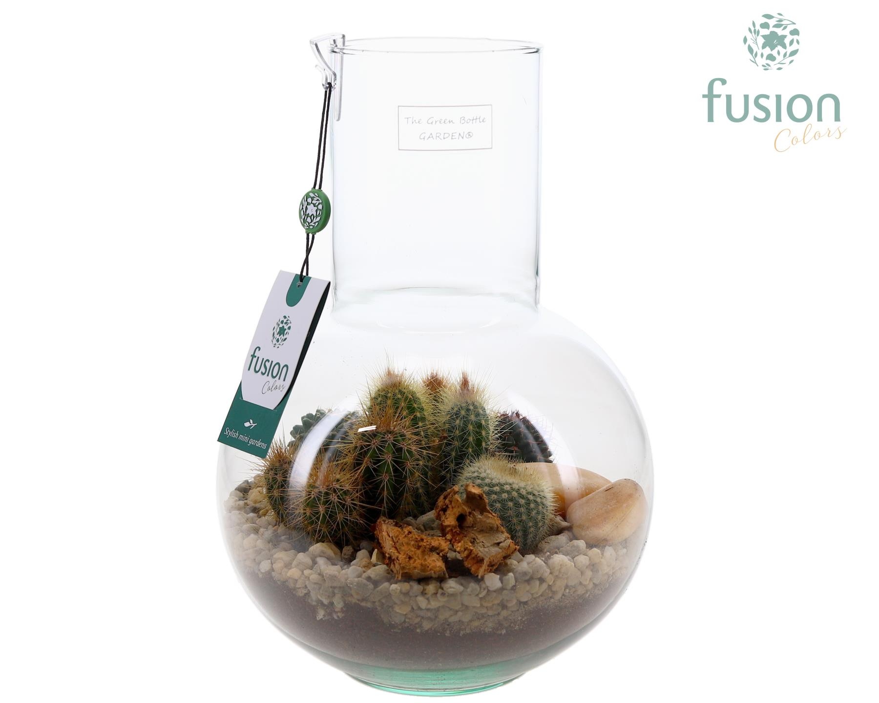 Green Bottle Suzanne Medium met Cactussen arrangement, D 21