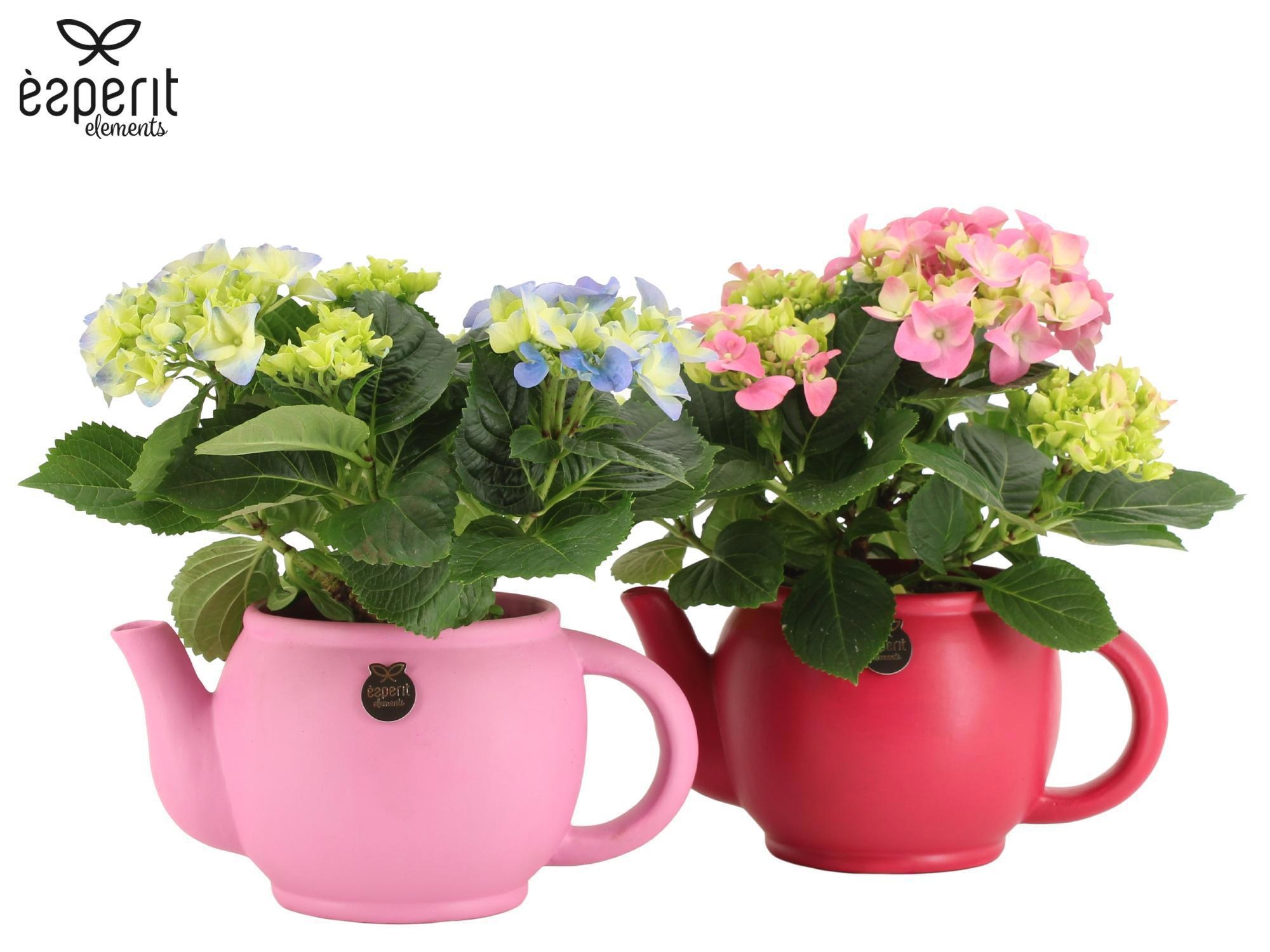 2501195: Solutionss Lovess, D 10,5