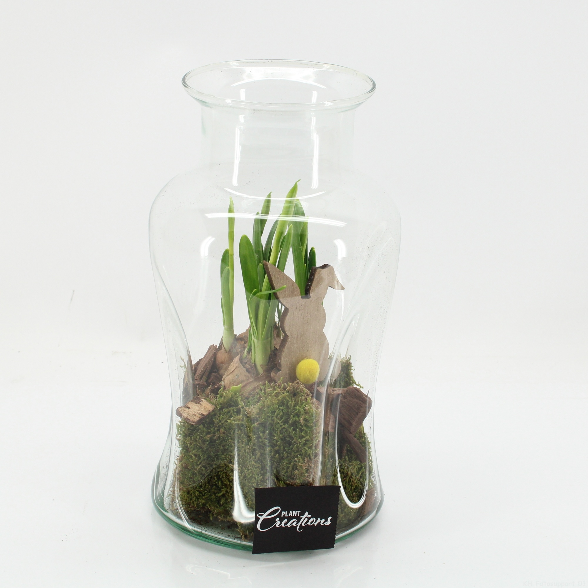 PNCR-2641 Paas narcis creatie, D 17 cm