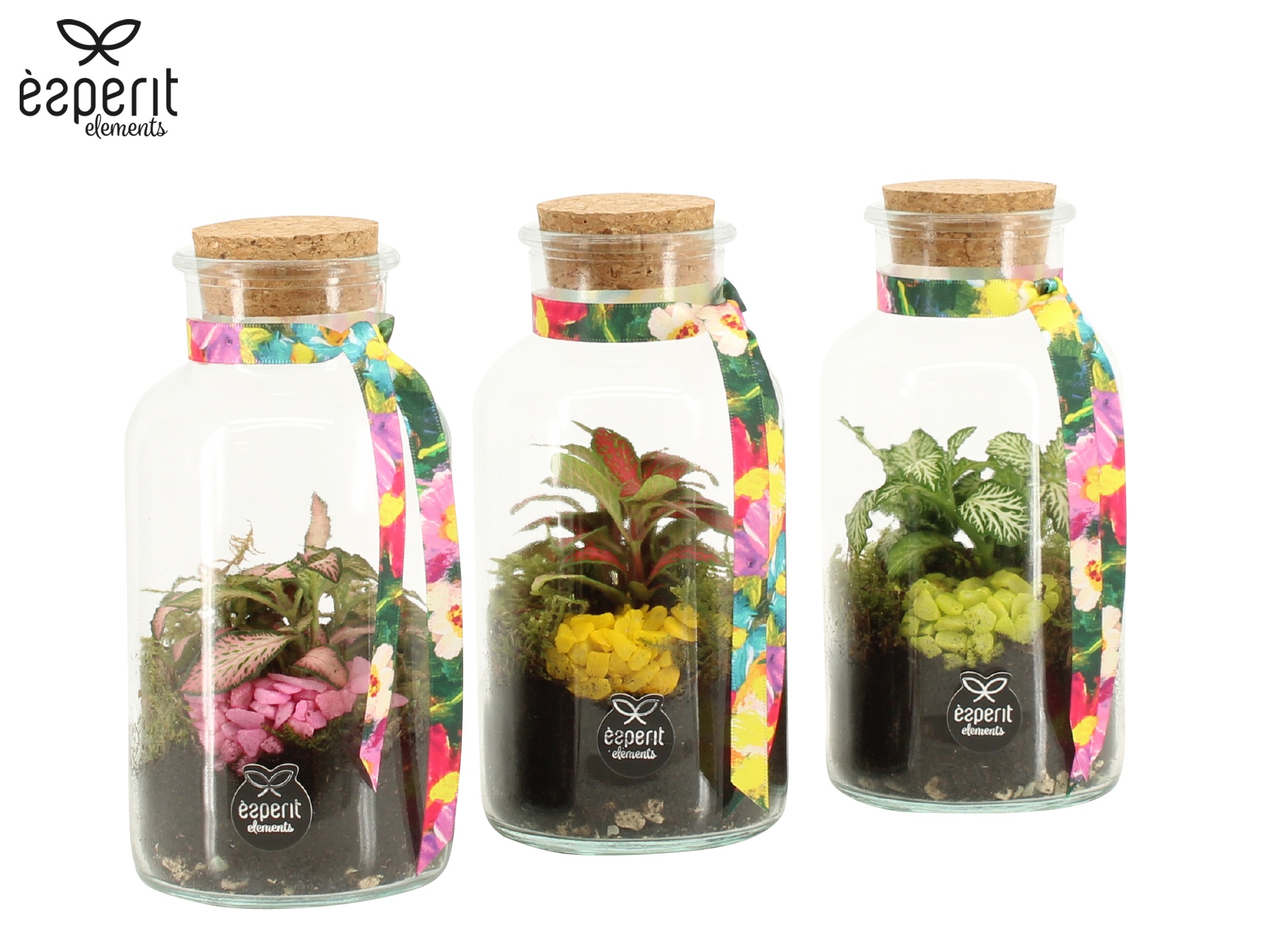 31793: Reinvention terrarium, D 8