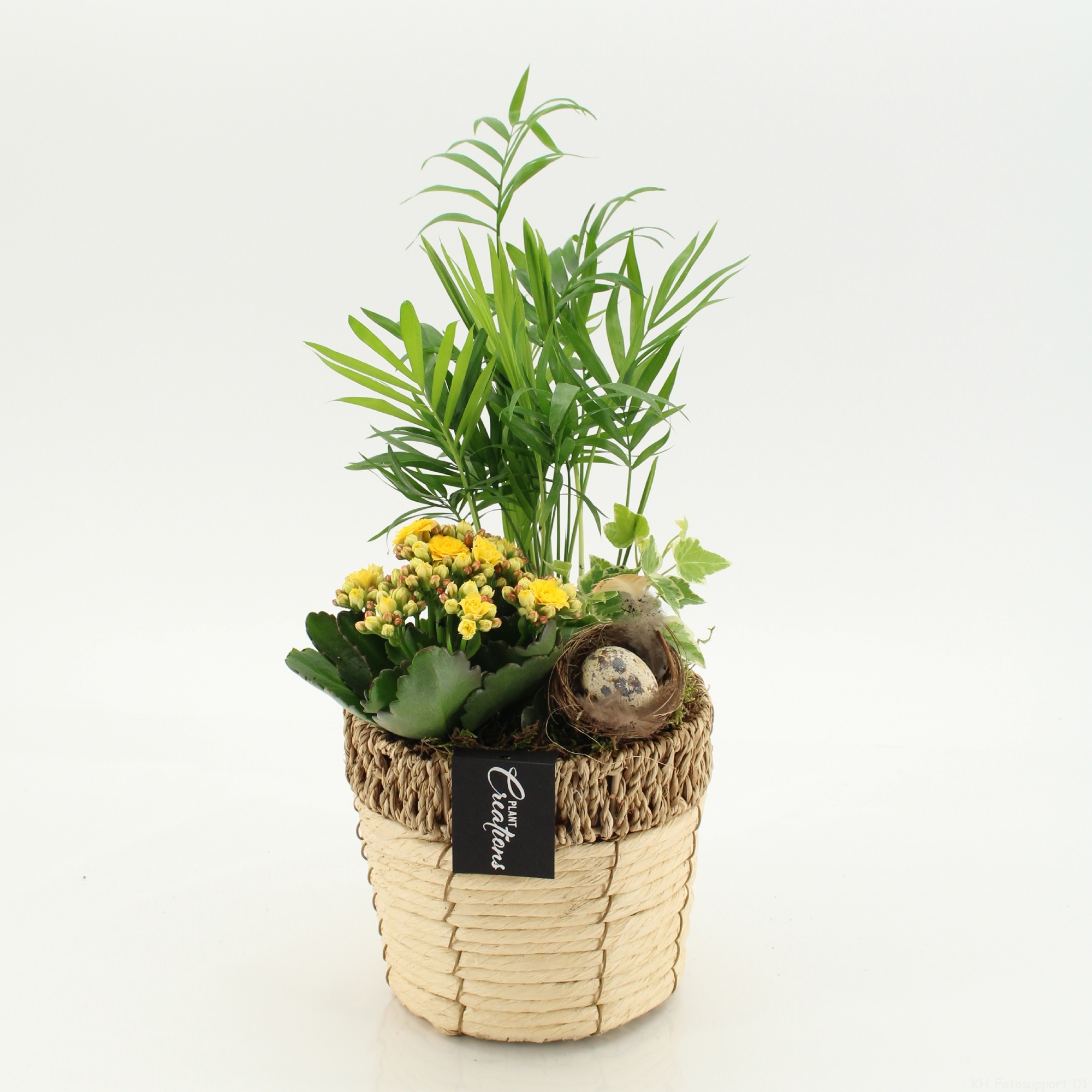 PSCR-2619G Easter Essentials, D 16