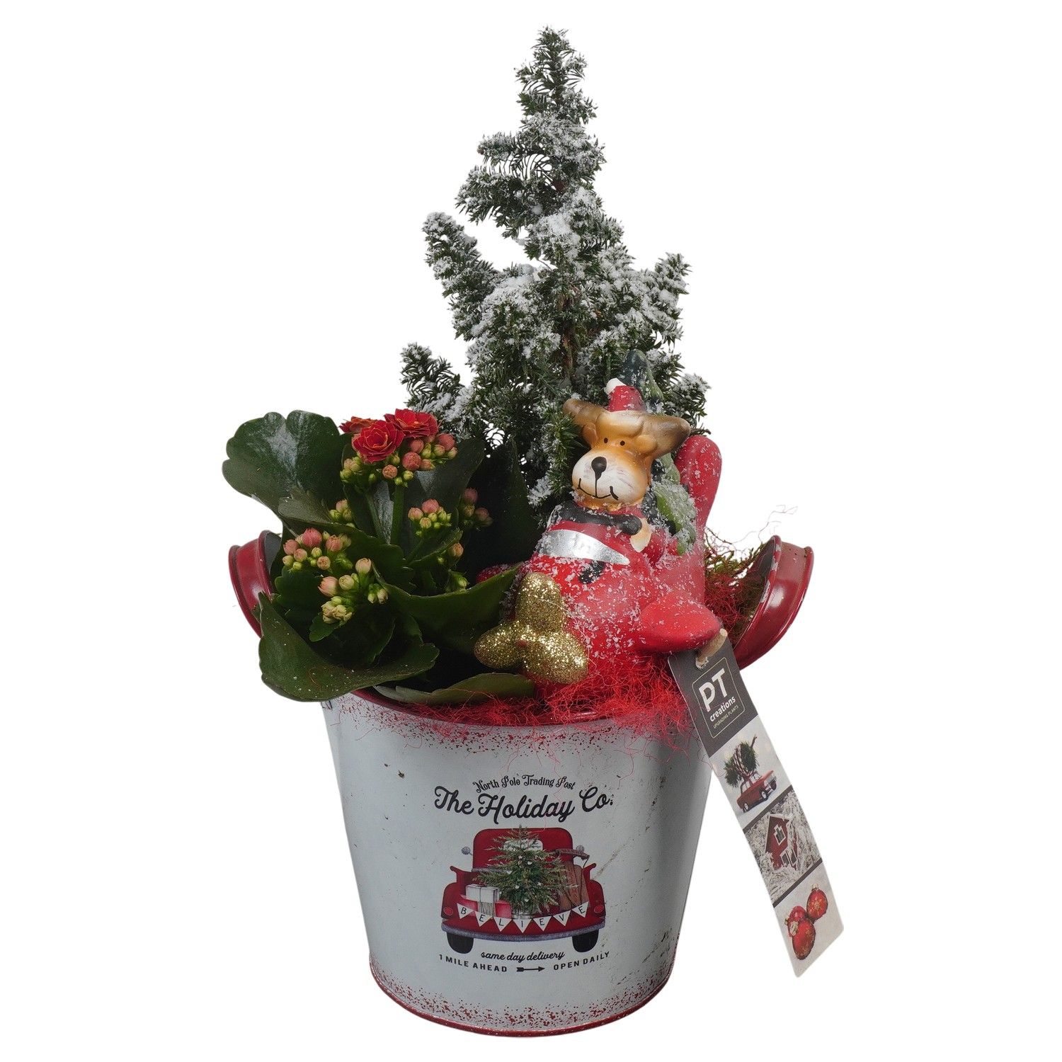 PTCHR7340 Arrangement Christmas Red in metaal pot, D 14 cm