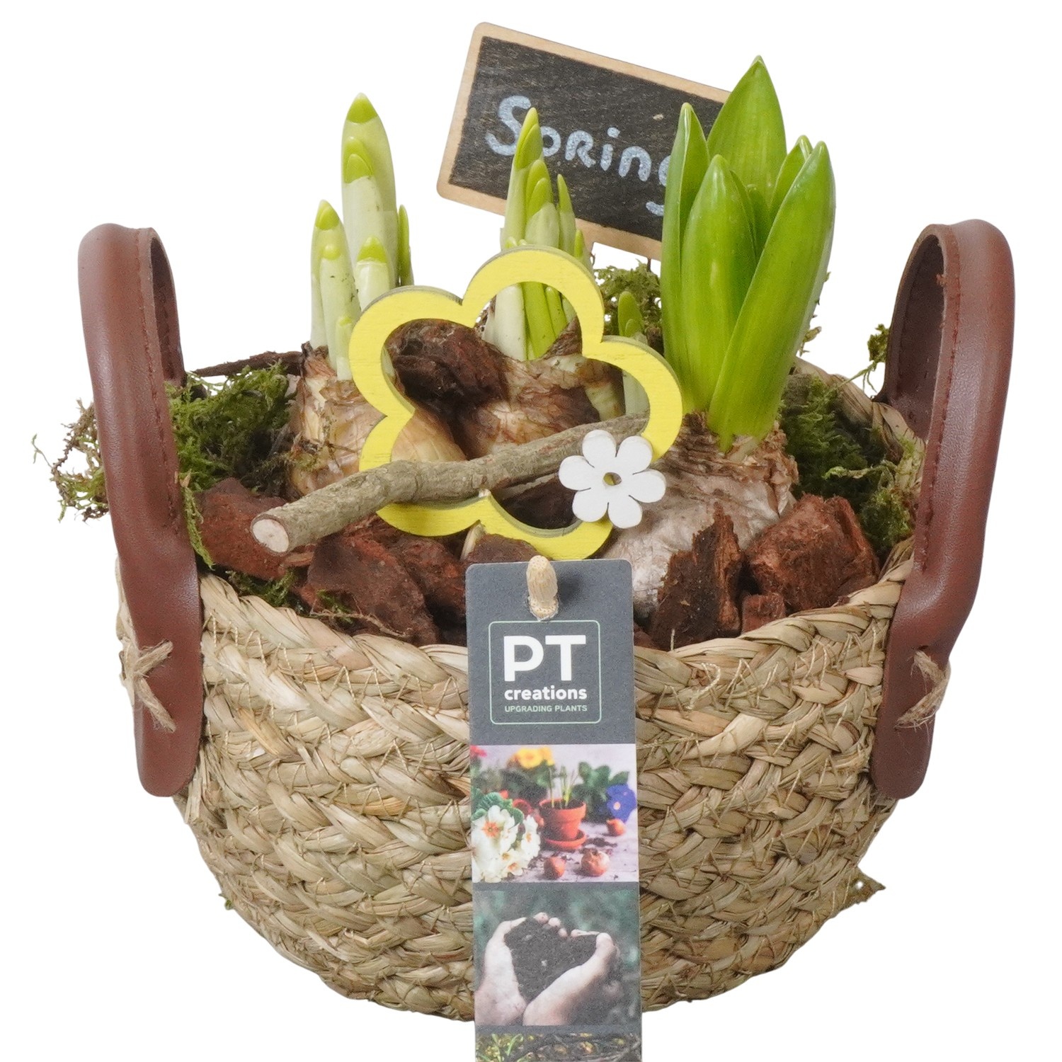 PTBM3817 Arrangement Flower Bulbs Mix in rieten mand, D 15