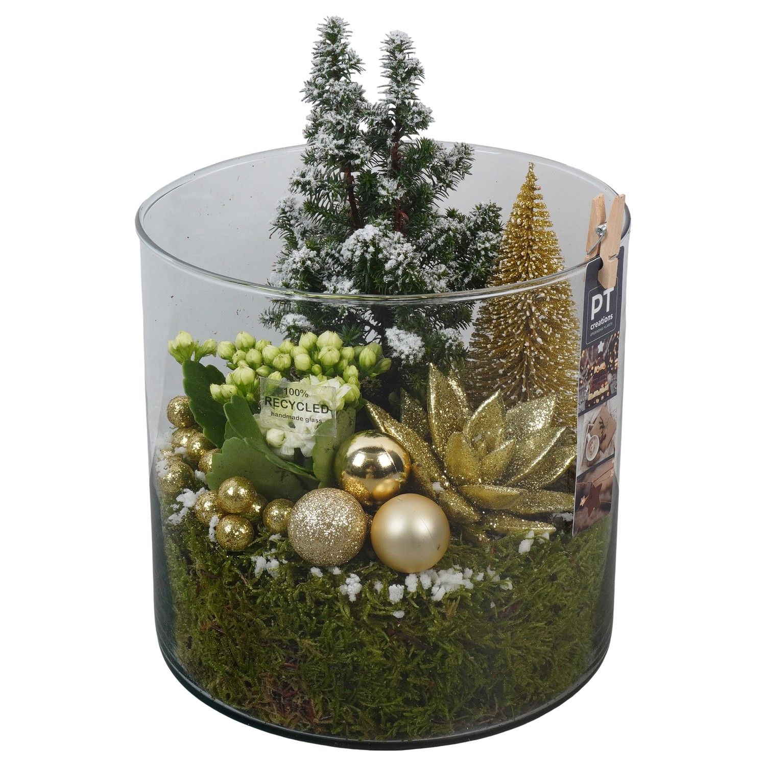 PTCHG5758 Arrangement Christmas Gold in glazen pot, D 19 cm