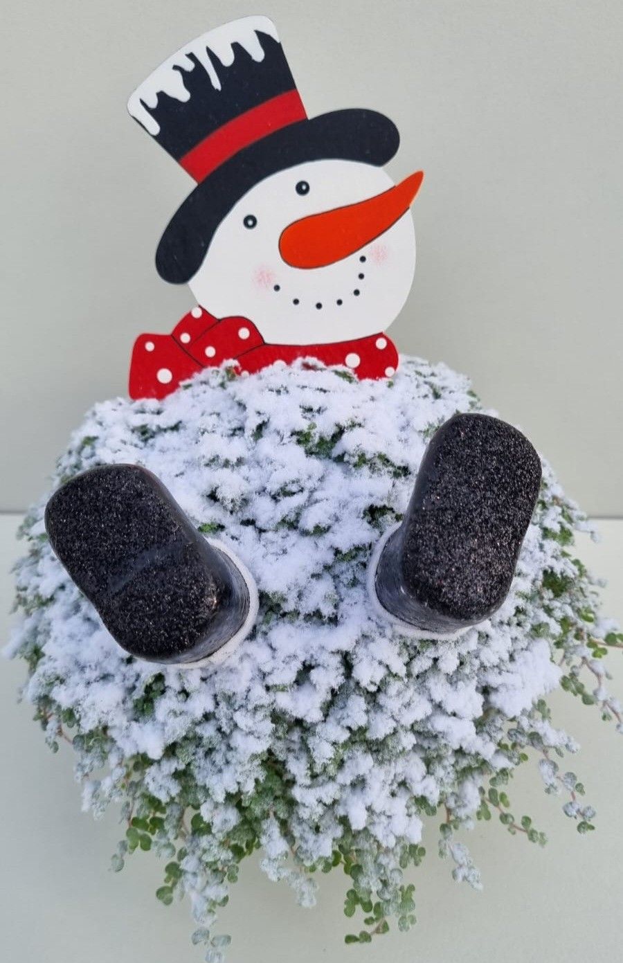 K50 sneeuwpop, D 11 cm K50 sneeuwpop, D 11 cm