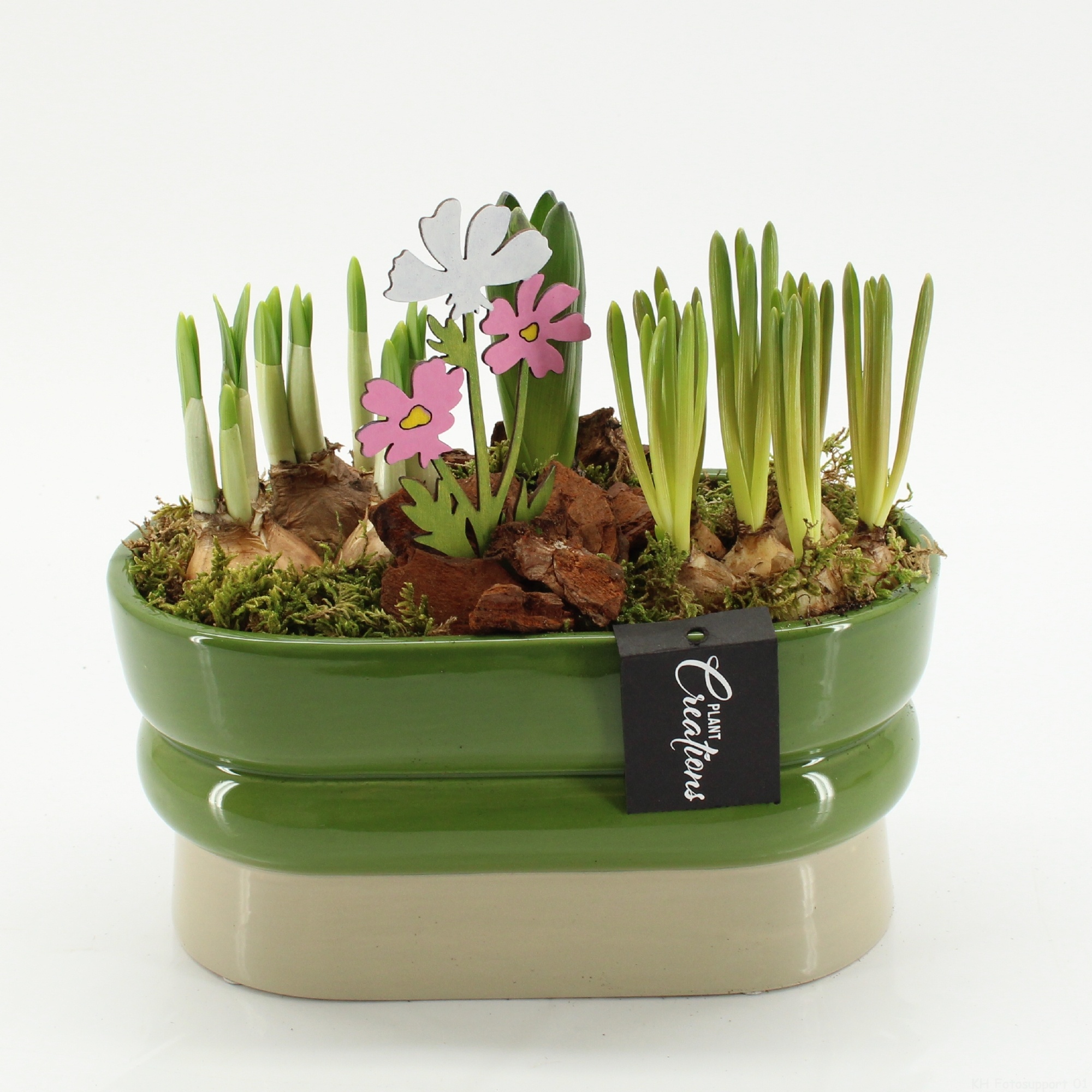 BLCR-2641 Bulbs creations, D 23