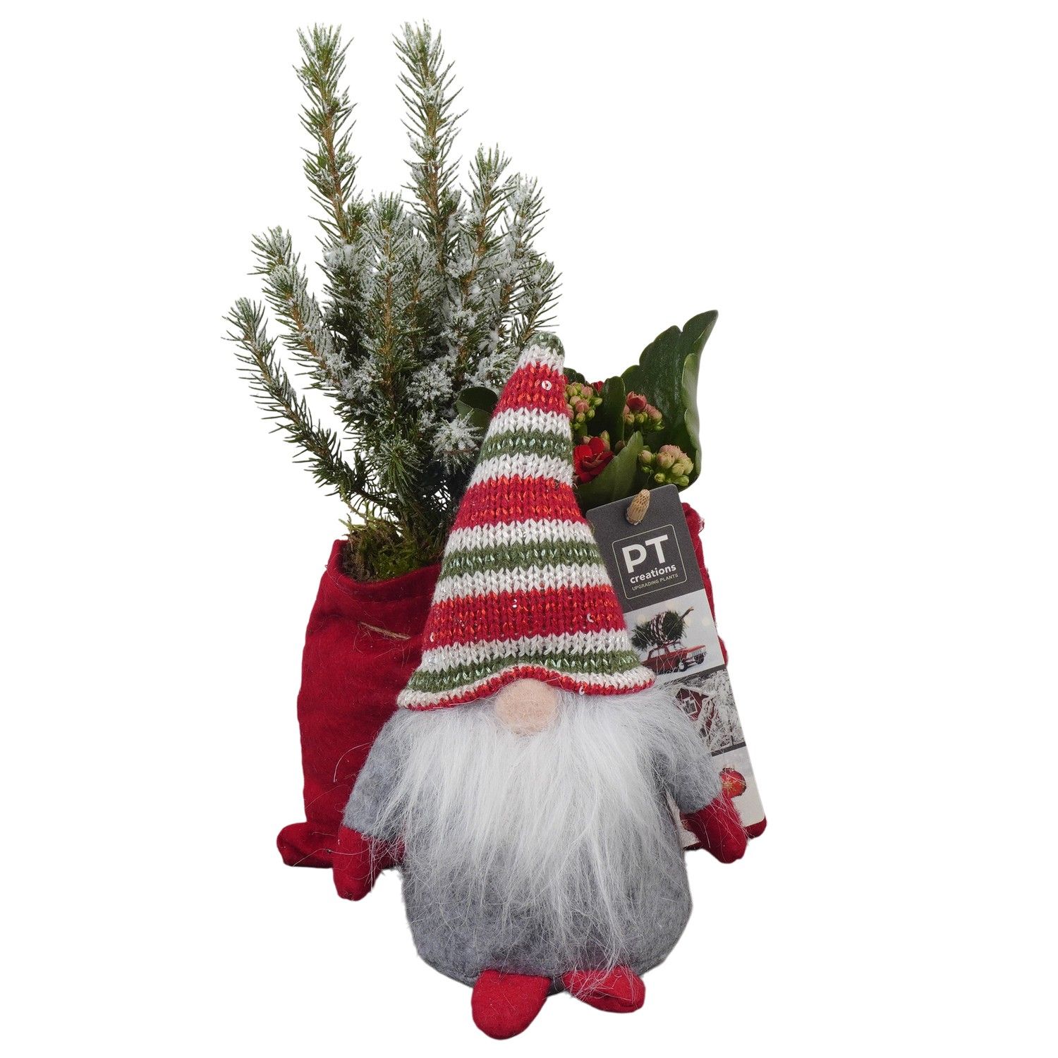 PTCHR7393 Arrangement Christmas Red in stoffen gnome, D 20 cm