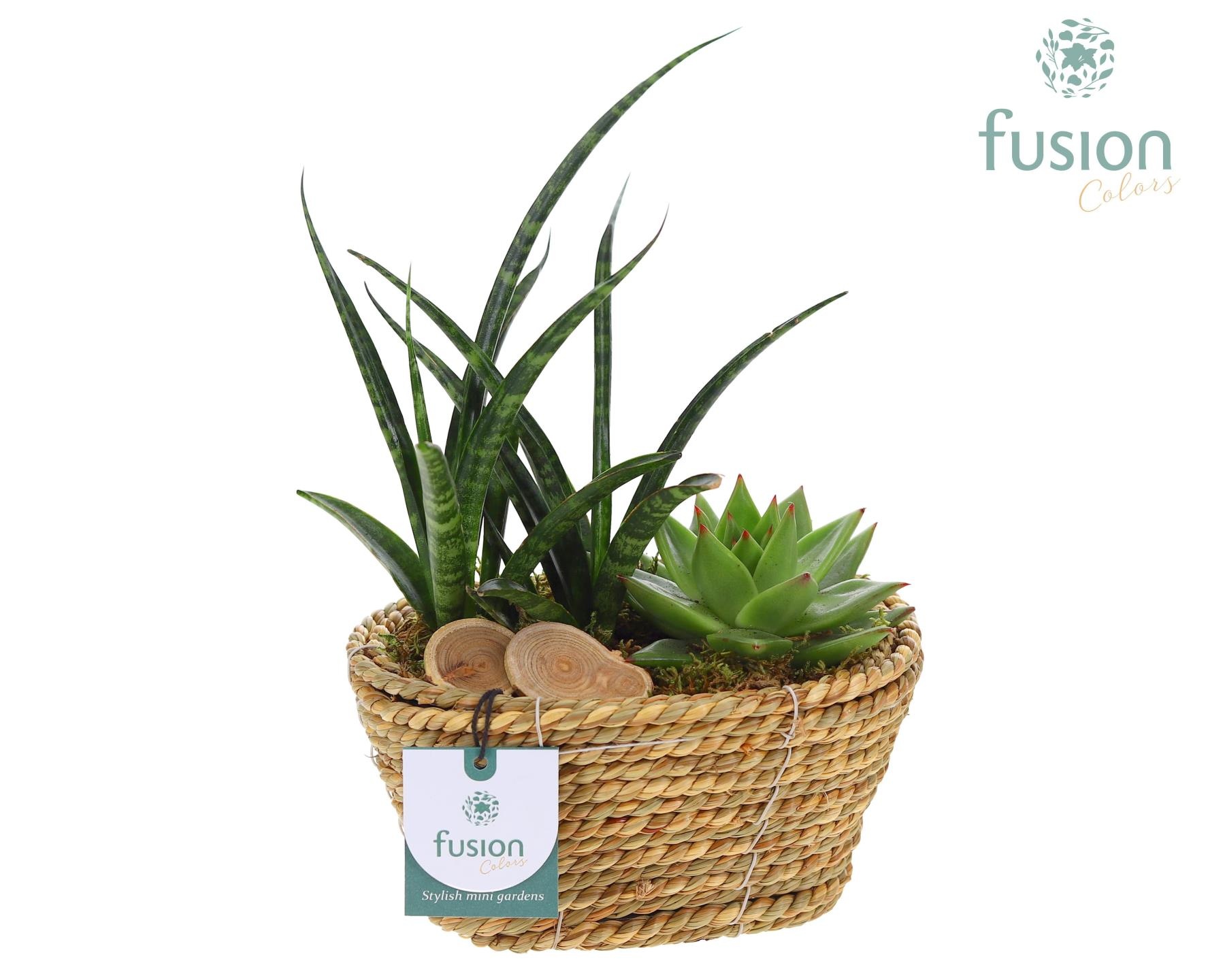 Mand zeegras ovaal Herfst met Arrangement, D 18