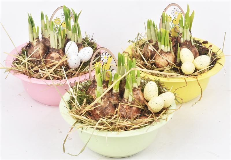 Zink schaal 19.5 cm mix 3 kleuren, D 19