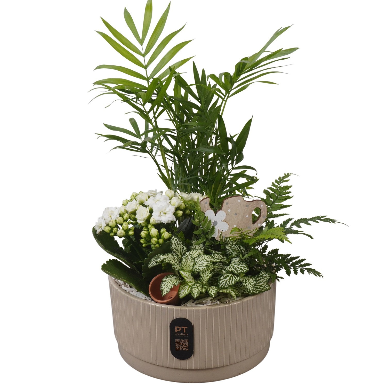 PTIB5120 Arrangement Indoor in keramiek schaal, D 19