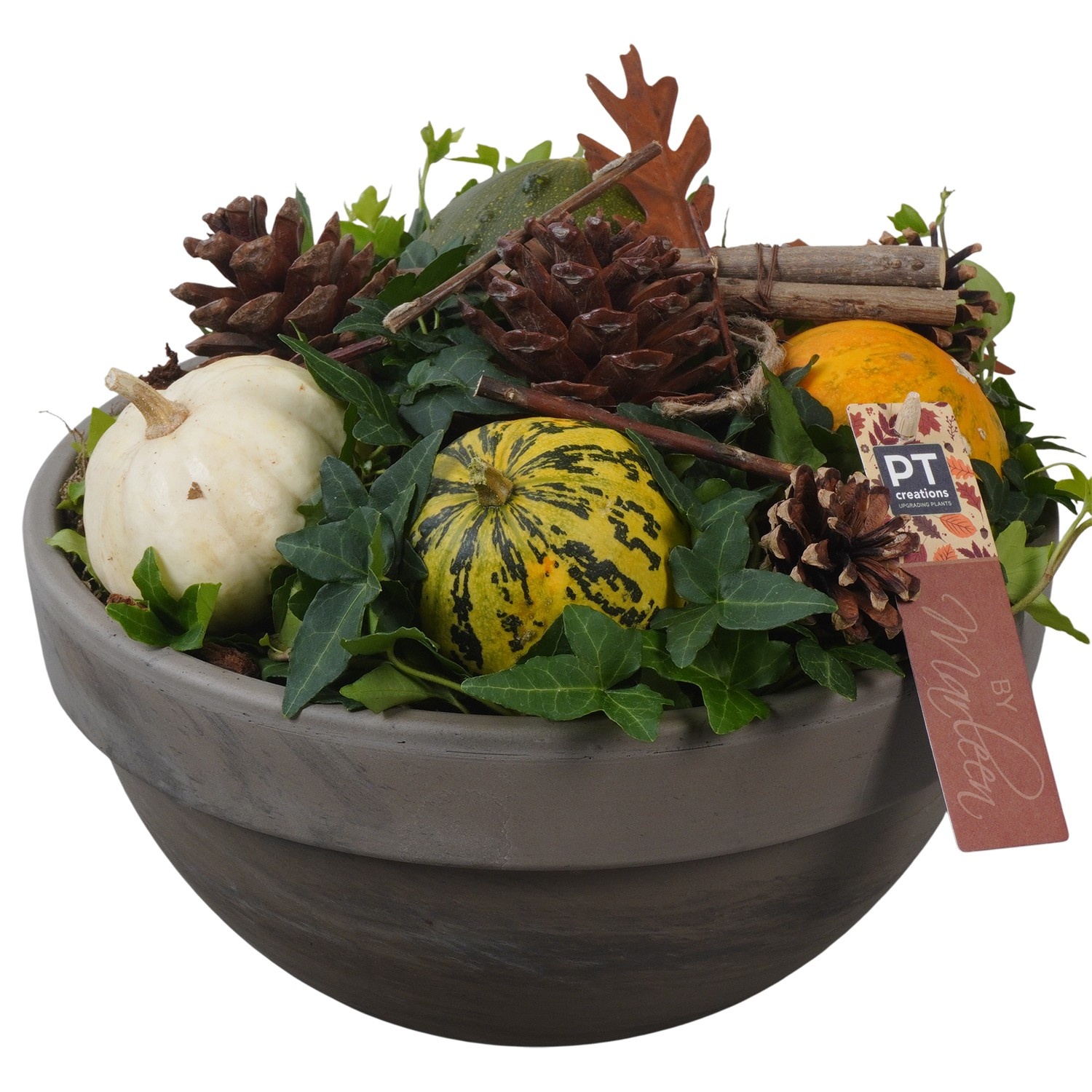 PTSF8229 Arrangement Kalebas hedera in terracotta schaal, D 26 cm