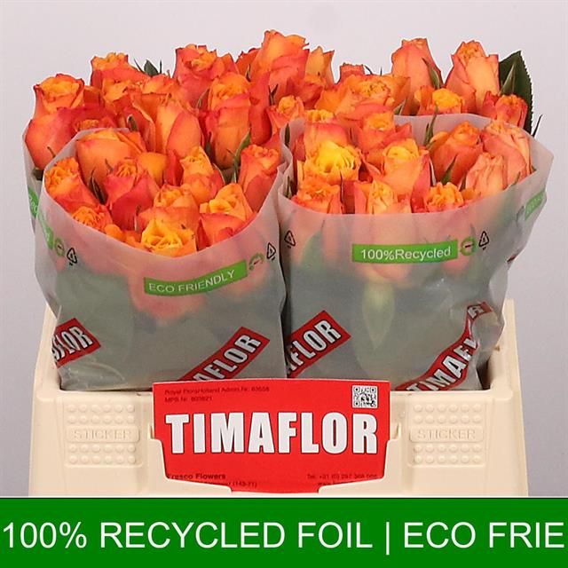 Роза од. Конфиденшиал 35, шт.