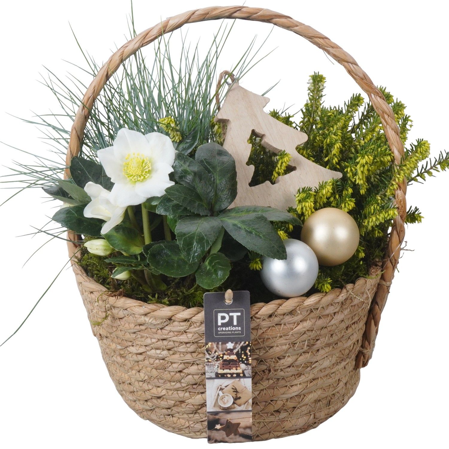 PTWO1929 Arrangement Winter Outdoor in rieten mand, D 22 cm PTWO1929 Arrangement Winter Outdoor in rieten mand, D 22 cm