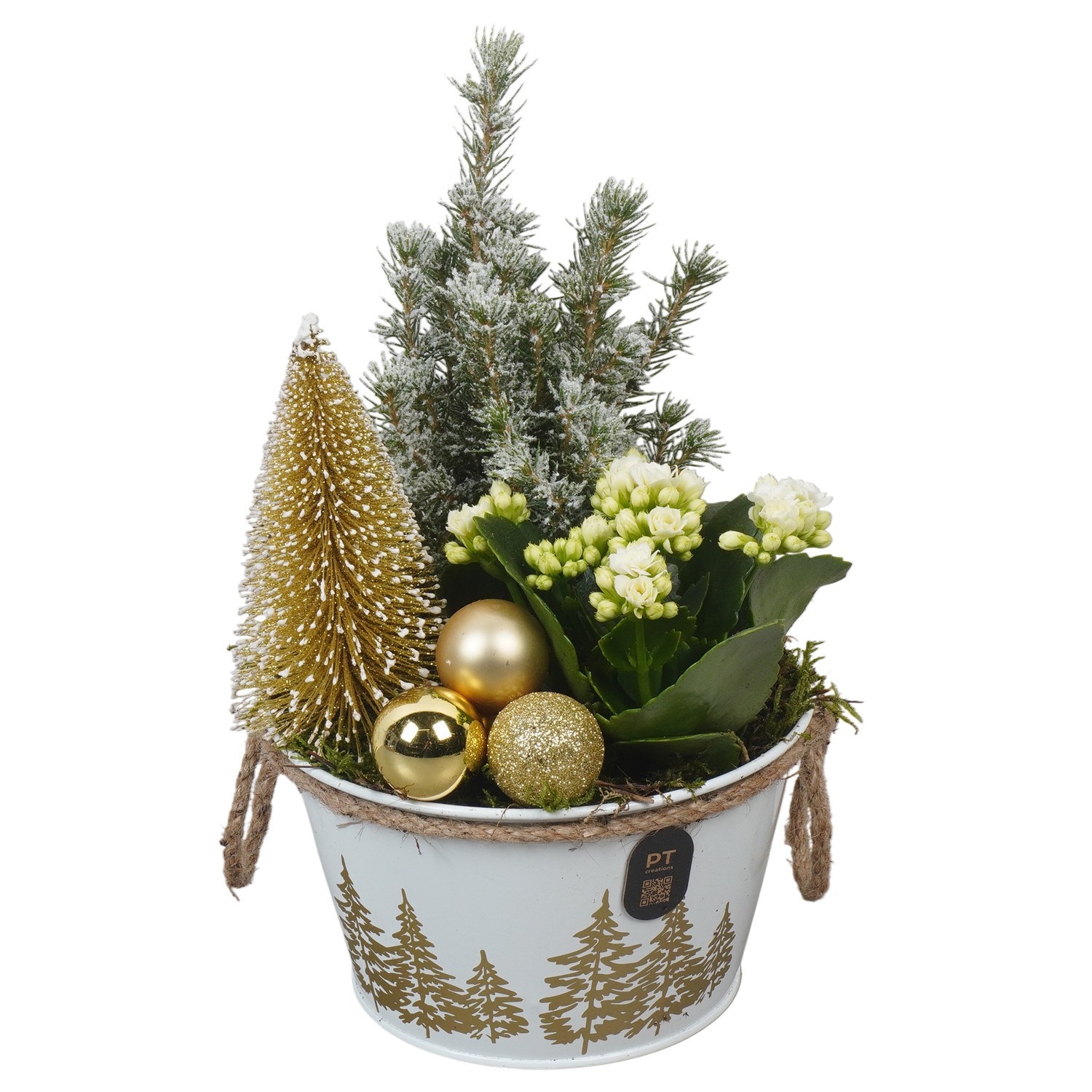 PTCHG4642 Arrangement Christmas Gold in metalen pot, D 15