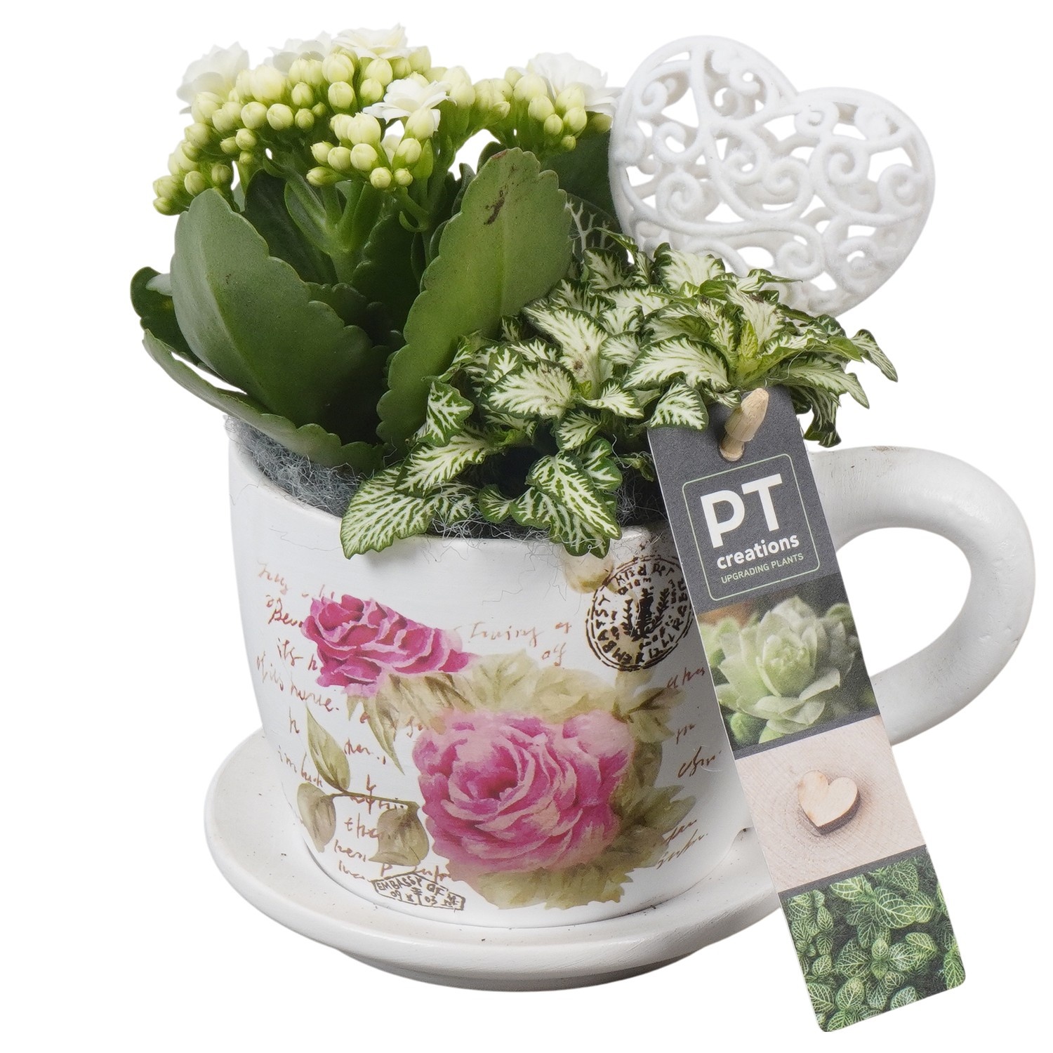 PTVMB2265 Arrangement Valentines-Mothersday in keramiek kop en schotel, D 11