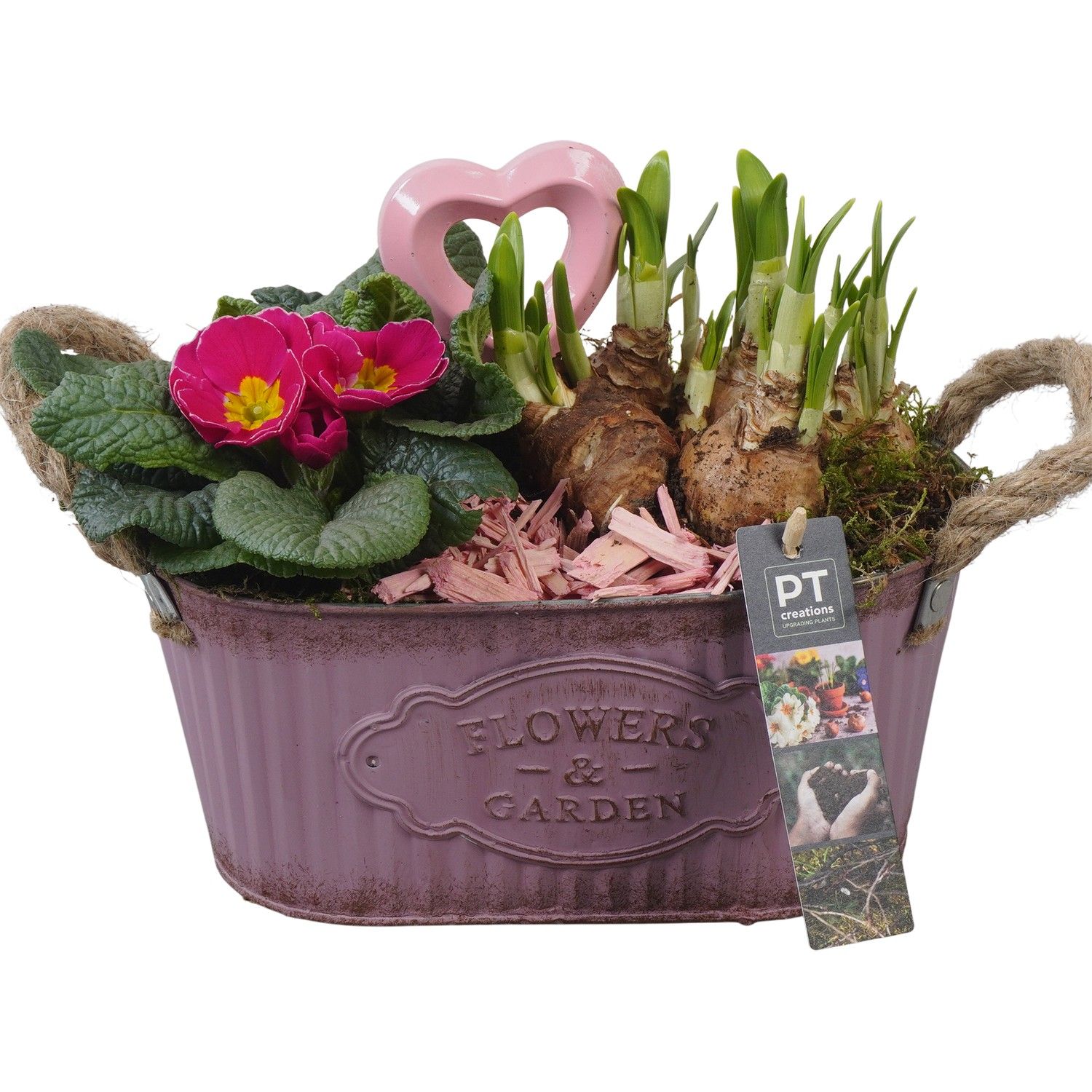 PTVO3608 Arrangement Valentine Outdoor in metalen schaal, D 24