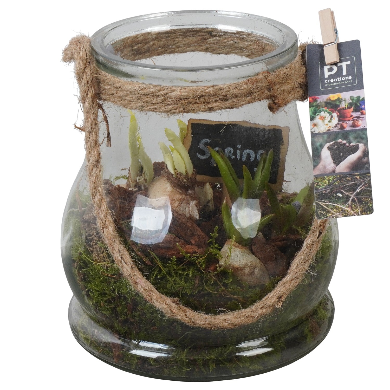 PTBM3947 Arrangement Flower Bulbs Mix in glazen vaas, D 16