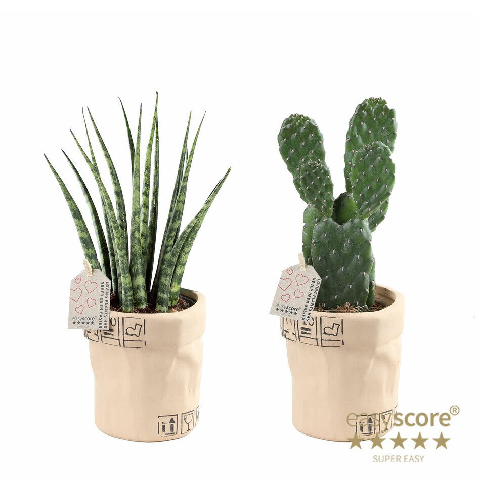 GREEN MIX 30903400 Ceramic bag, D 9 cm