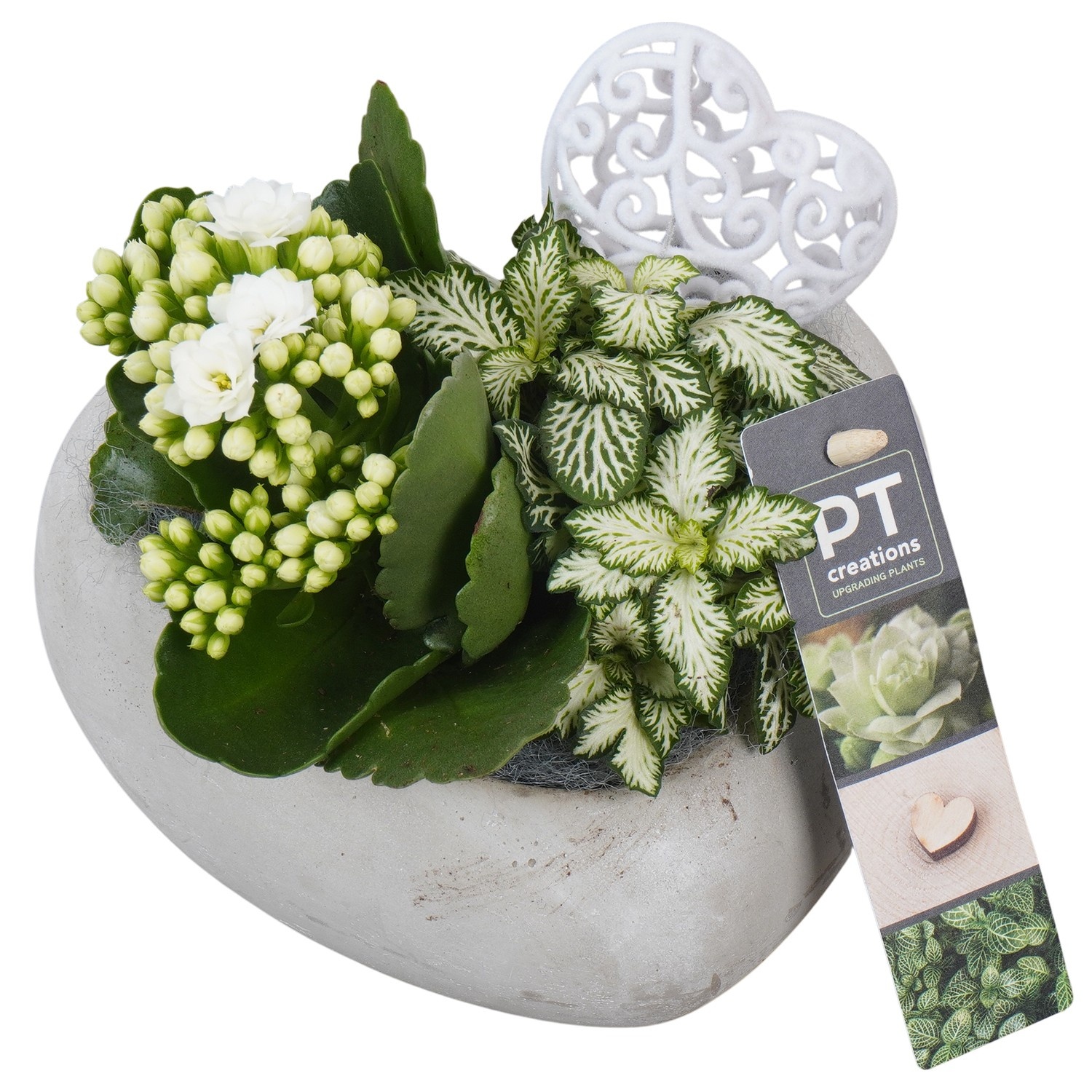 PTVMB2282 Arrangement Valentines-Mothersday in beton hart, D 16