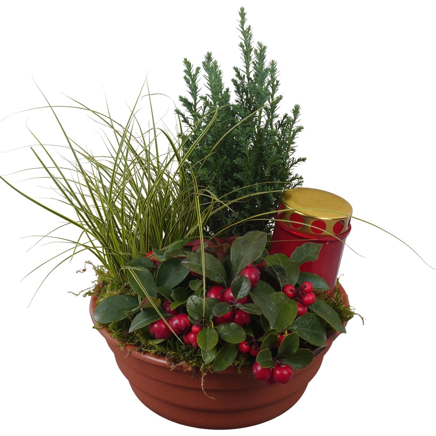 PTAH3071 Arrangement Allerheiligen in plastic schaal, D 21