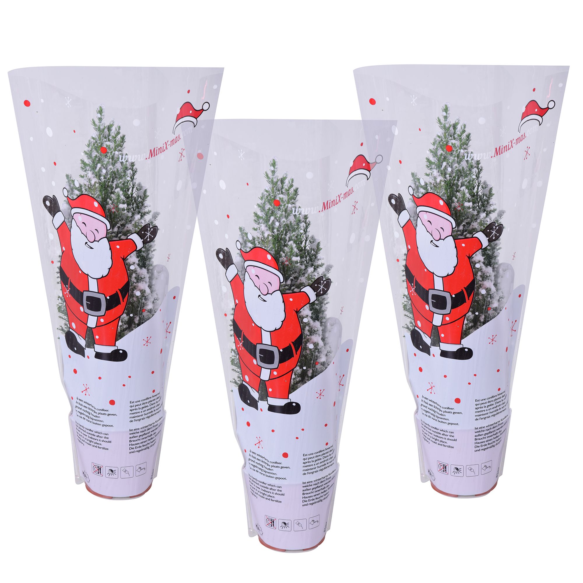 Ellwoodii met sneeuw in kersthoes, D 9