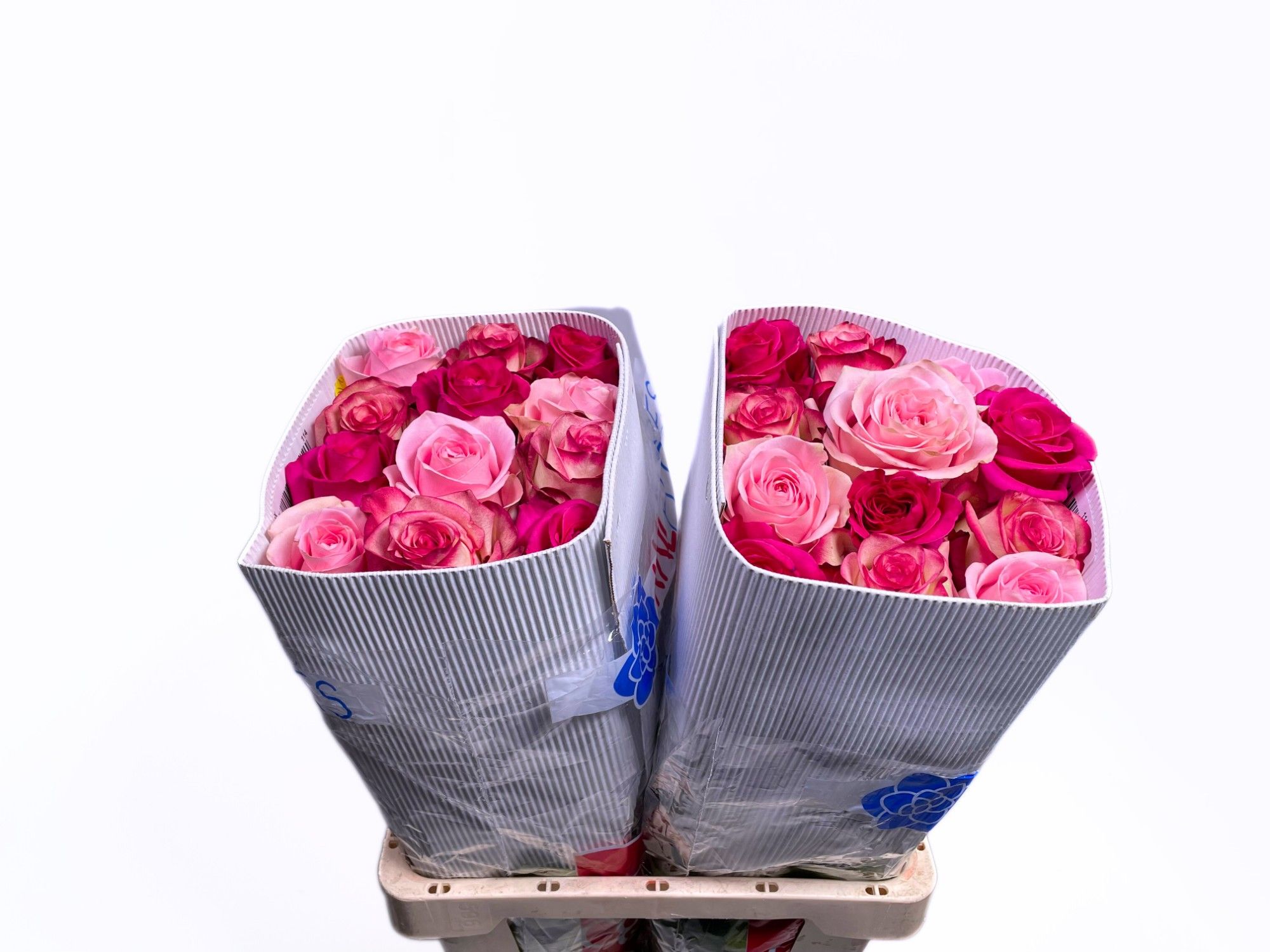 Роза од. Микс в пачке 60, шт.