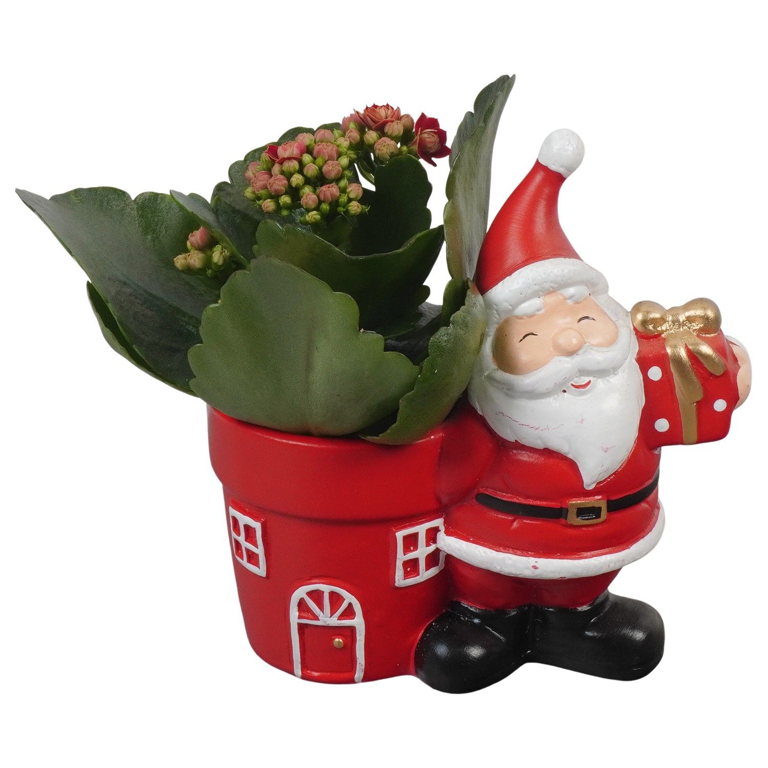 PTCHR7264 Arrangement Christmas Red in keramiek pot, D 13 cm