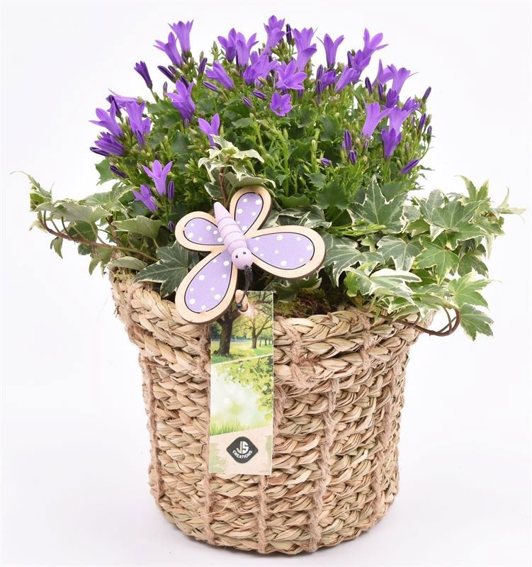 Touwmand met rand 17cm, D 17