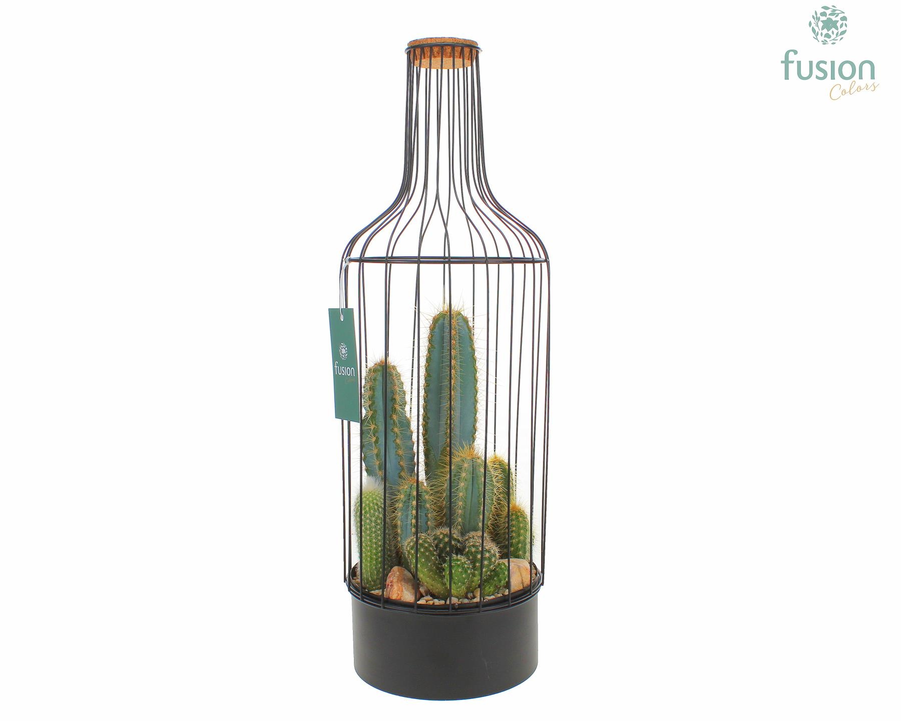 Metaal fles zwart Large met Cactussen, D 17