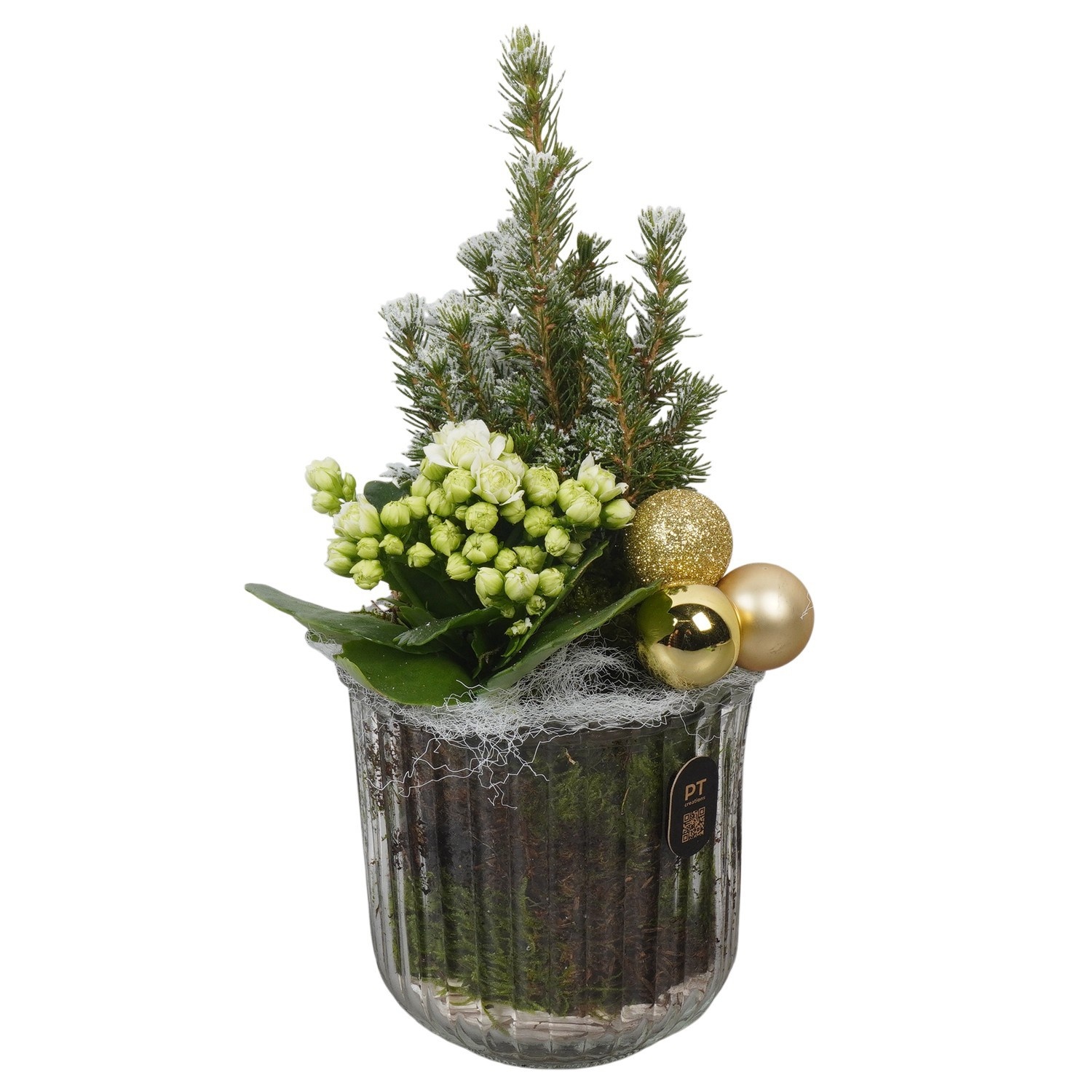PTCHG4604 Arrangement Christmas Gold in glazen vaas, D 12