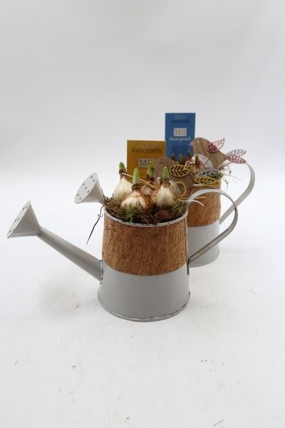 Bollen, gieter taps wit; mix, D 10