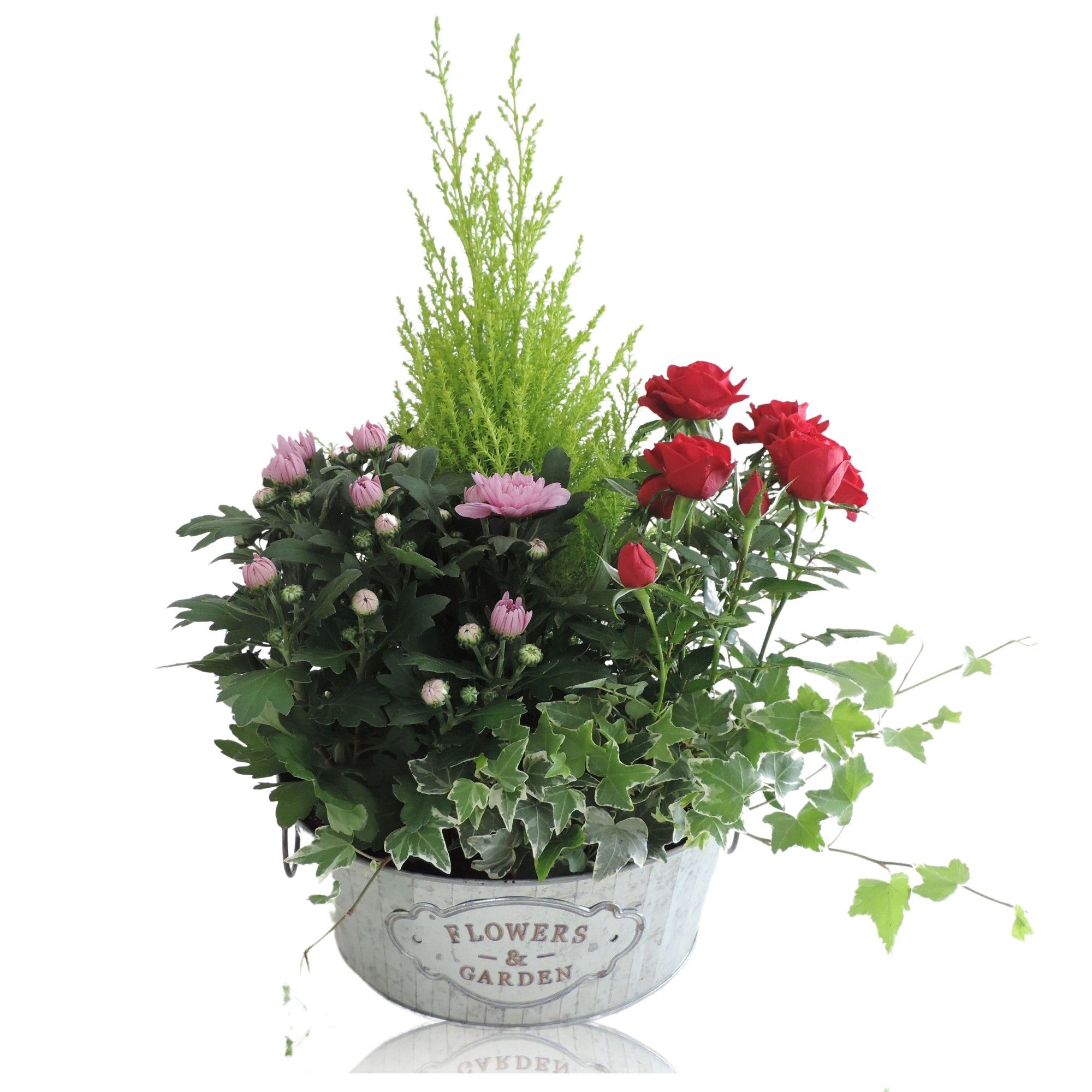 Collectie Dex Arrangement in Schaal 25 cm, D 25