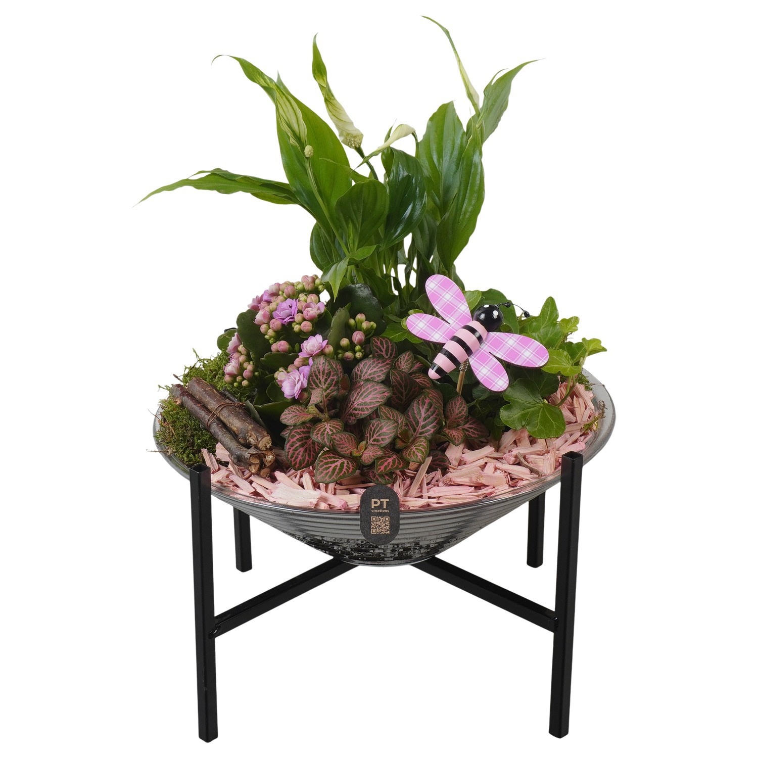 PTIG2671 Arrangement Indoor in glas schaal met standaard, D 26