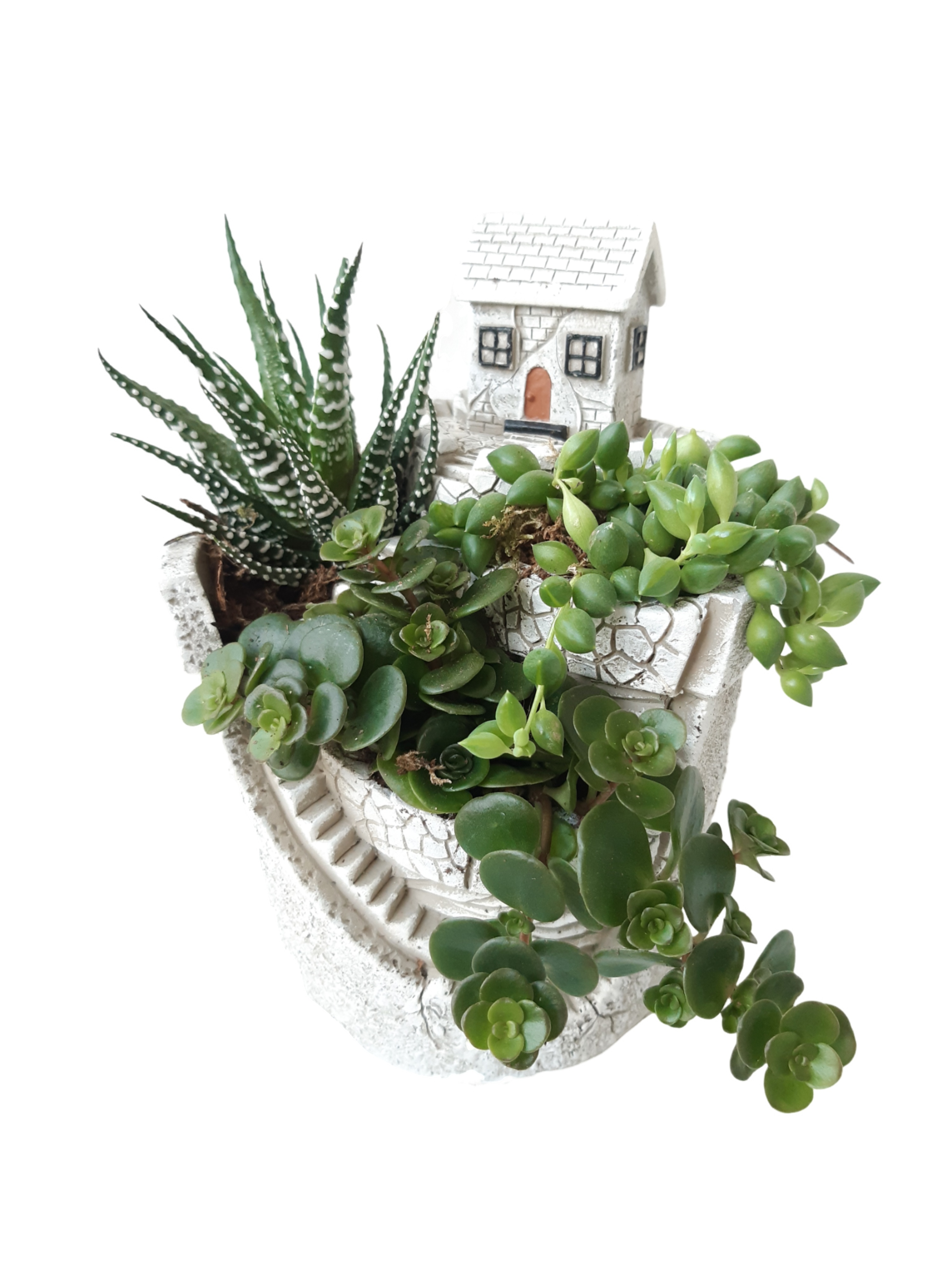 NEW 2026 MGP12 Mini Garden Pot 12cm, D 12