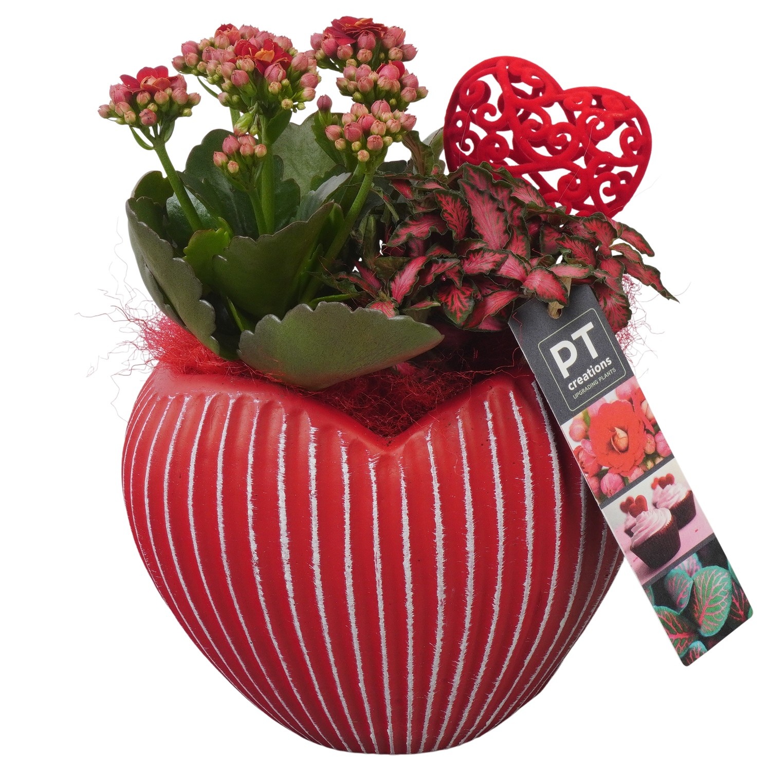PTVMB2309 Arrangement Valentines-Mothersday in beton hart, D 15