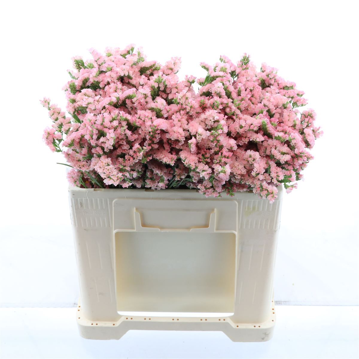 Статица Эмма Пич+ 50, шт.