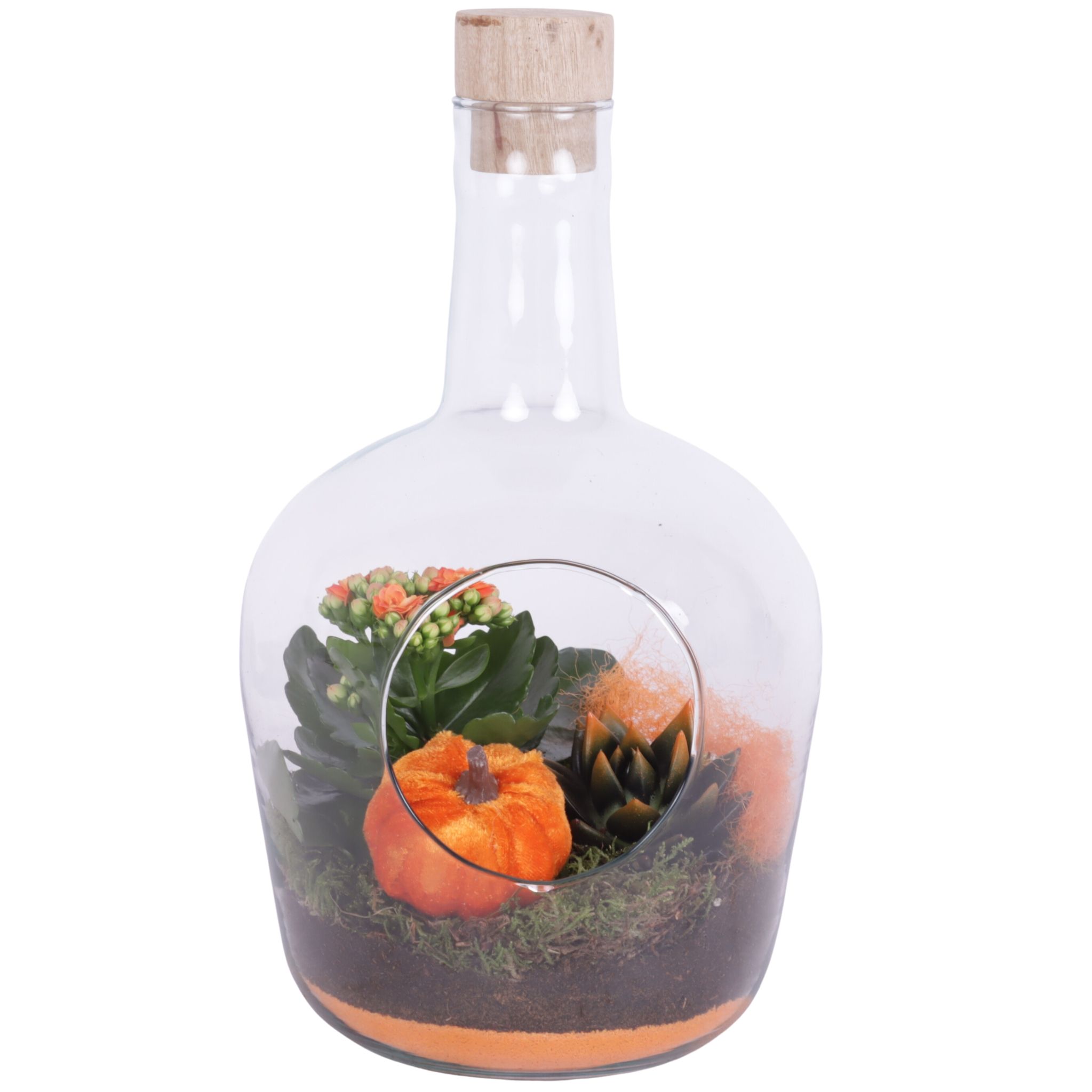 Halloween Arr. Indoor Glass Vase with Hole Ø18cm 2PP, D 18 cm Halloween Arr. Indoor Glass Vase with Hole Ø18cm 2PP, D 18 cm